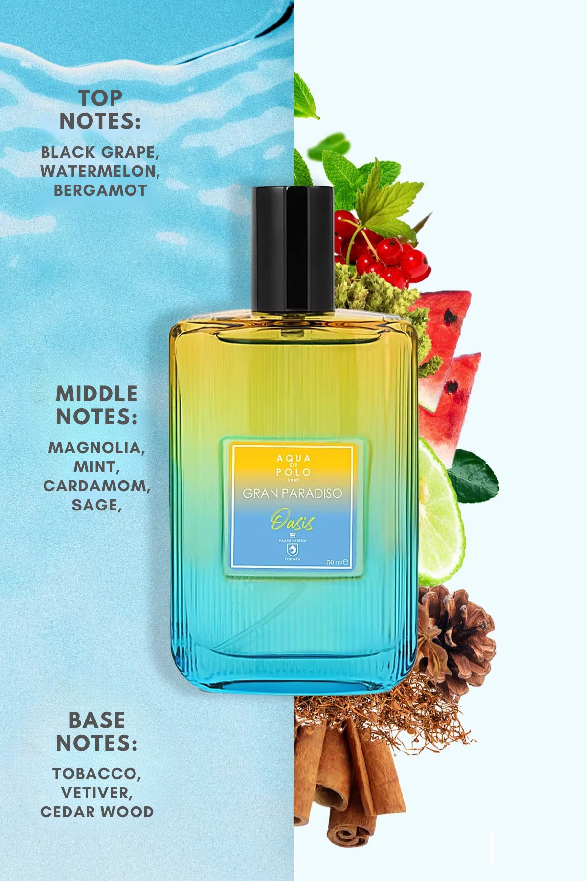 Aqua Di Polo 1987 عطر مردانه گران پارادیزو اوازیس 50 میلی لیتر EDP