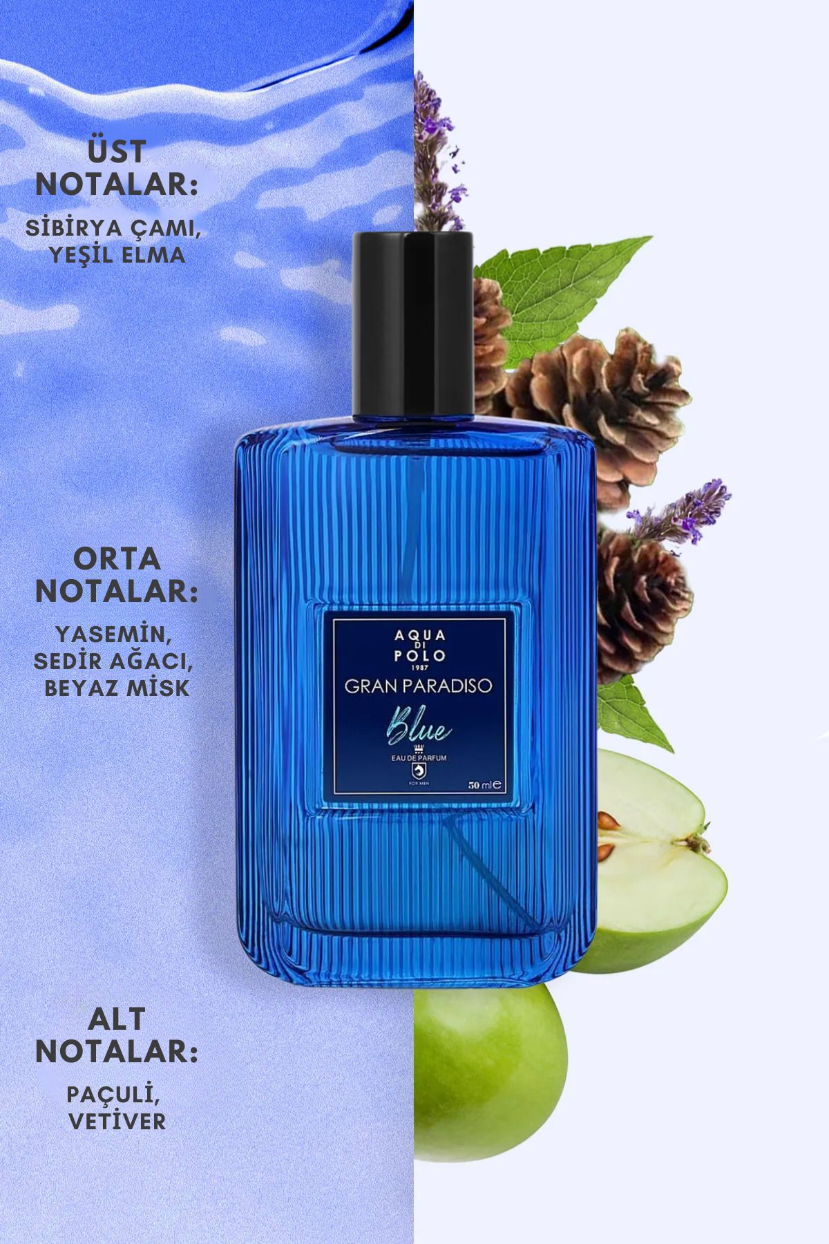 Aqua Di Polo 1987 عطر مردانه 50 میلی لیتری گران پارادیسو آبی EDP