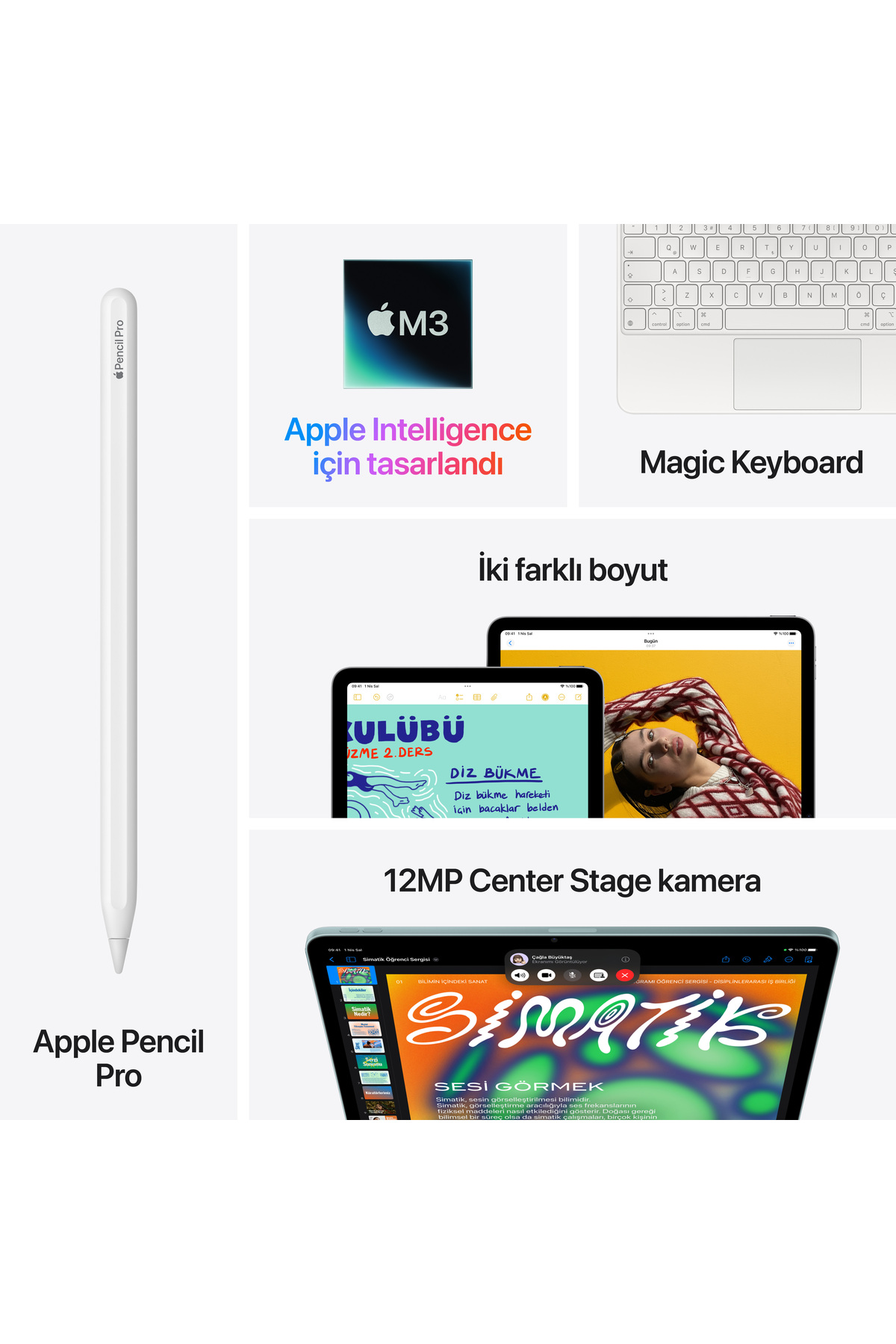 Apple 13