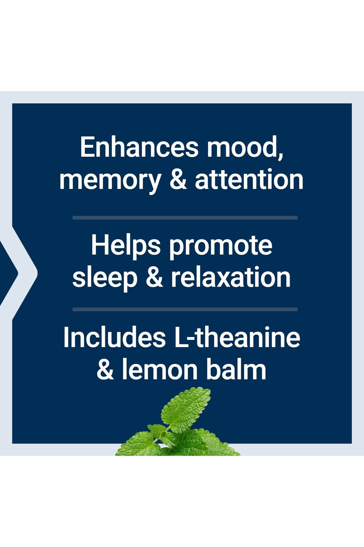 Life Extension-Lemon Balm & L-Theanine Stress Relief Supplement, Gluten-Free, Non-GMO, Vegetarian, 30 Capsules 4