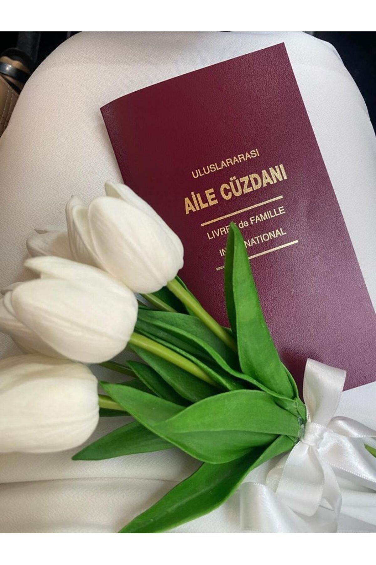 Gempo Şeffaf Uluslararası Aile Cüzdanı Kılıfı – Dayanıklı ve Koruyucu Evlinderme Cüzdanı Kılıfı