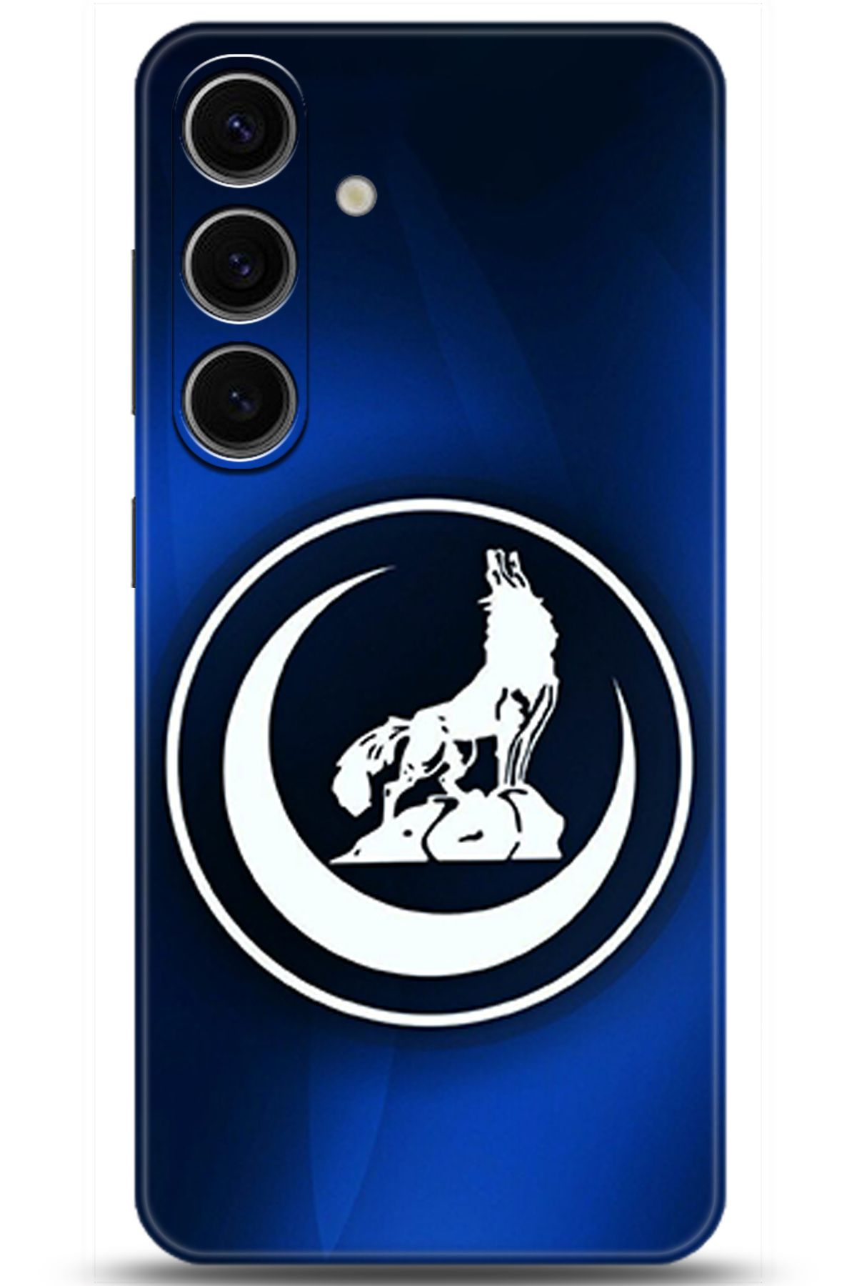 Noprin Samsung Galaxy S24 Plus Kılıf HD Baskılı Kılıf - My Passion Series 177983