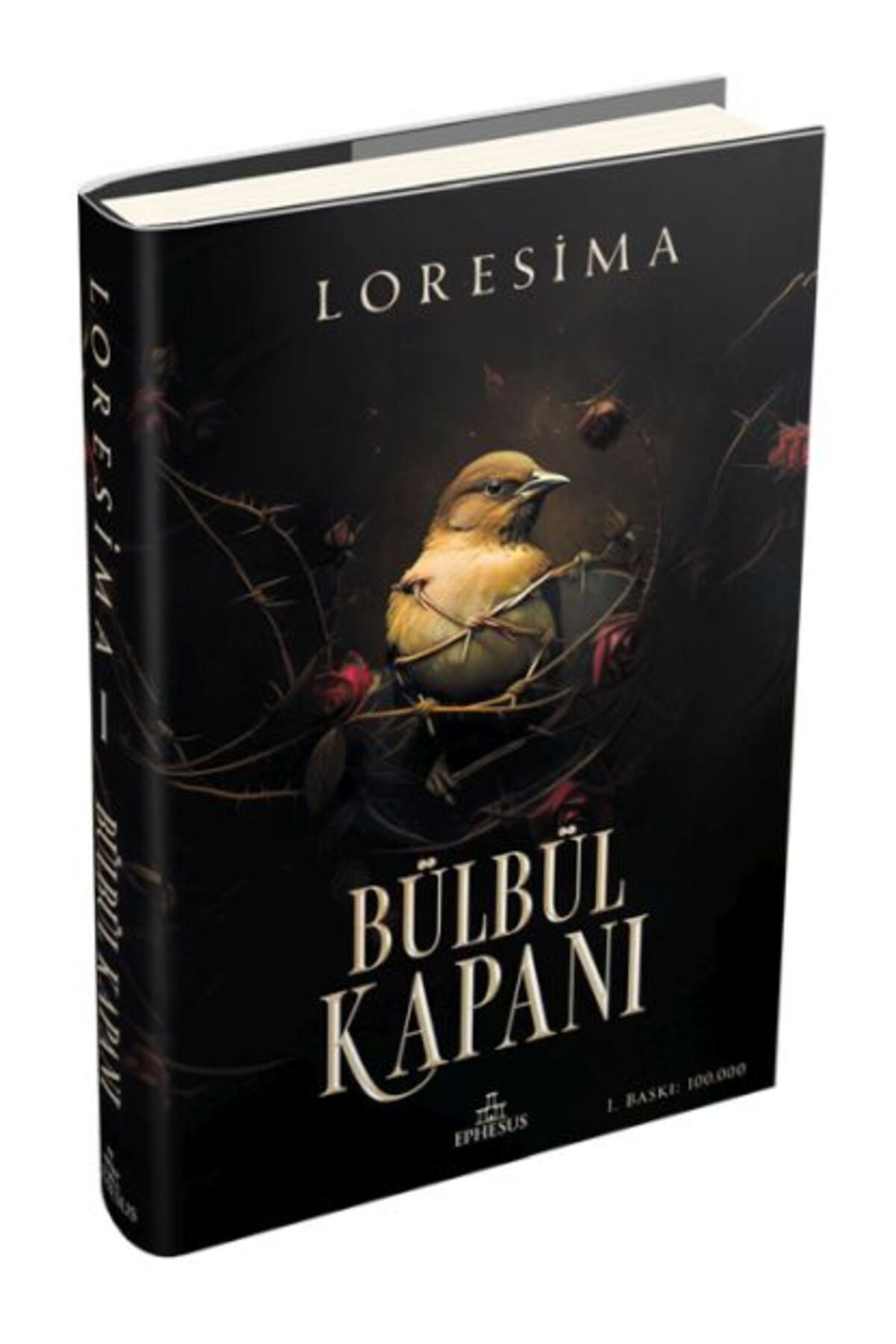 Destek Yayınları Bülbül Kapanı 1 (Ciltli)