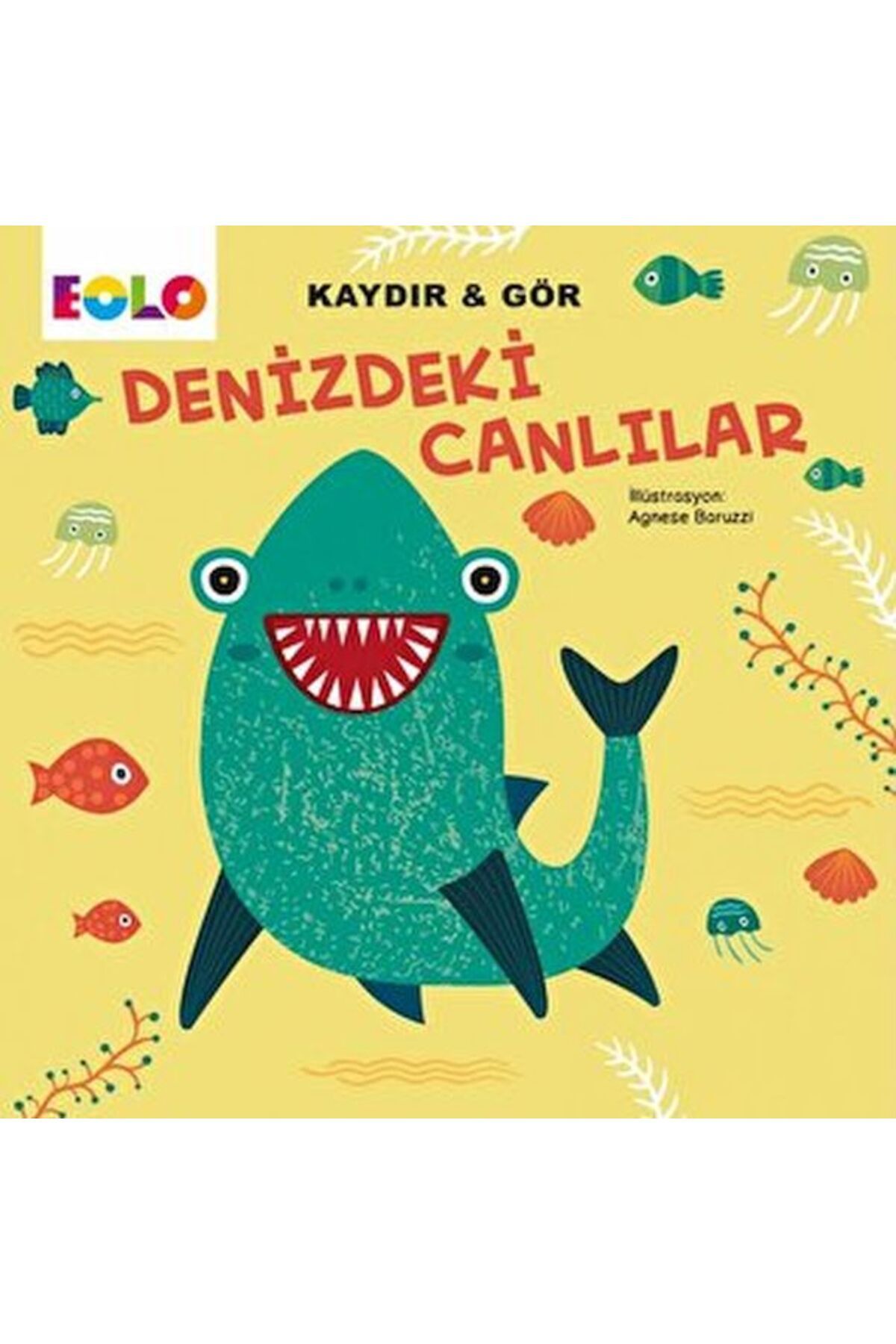 Destek Yayınları Kaydır&Gör Kitaplar-Denizdeki Canlılar