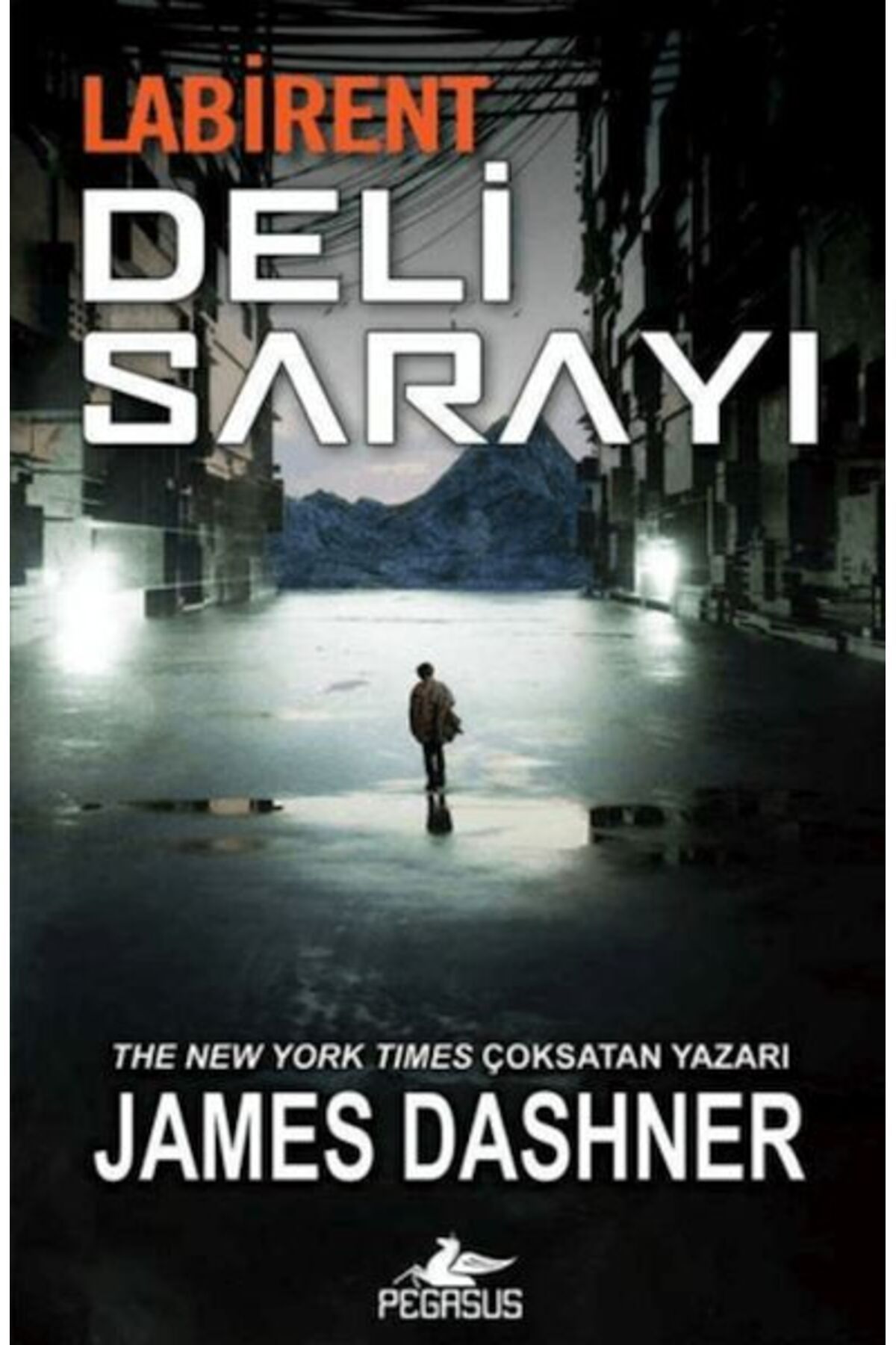 Destek Yayınları Labirent: Deli Sarayı
