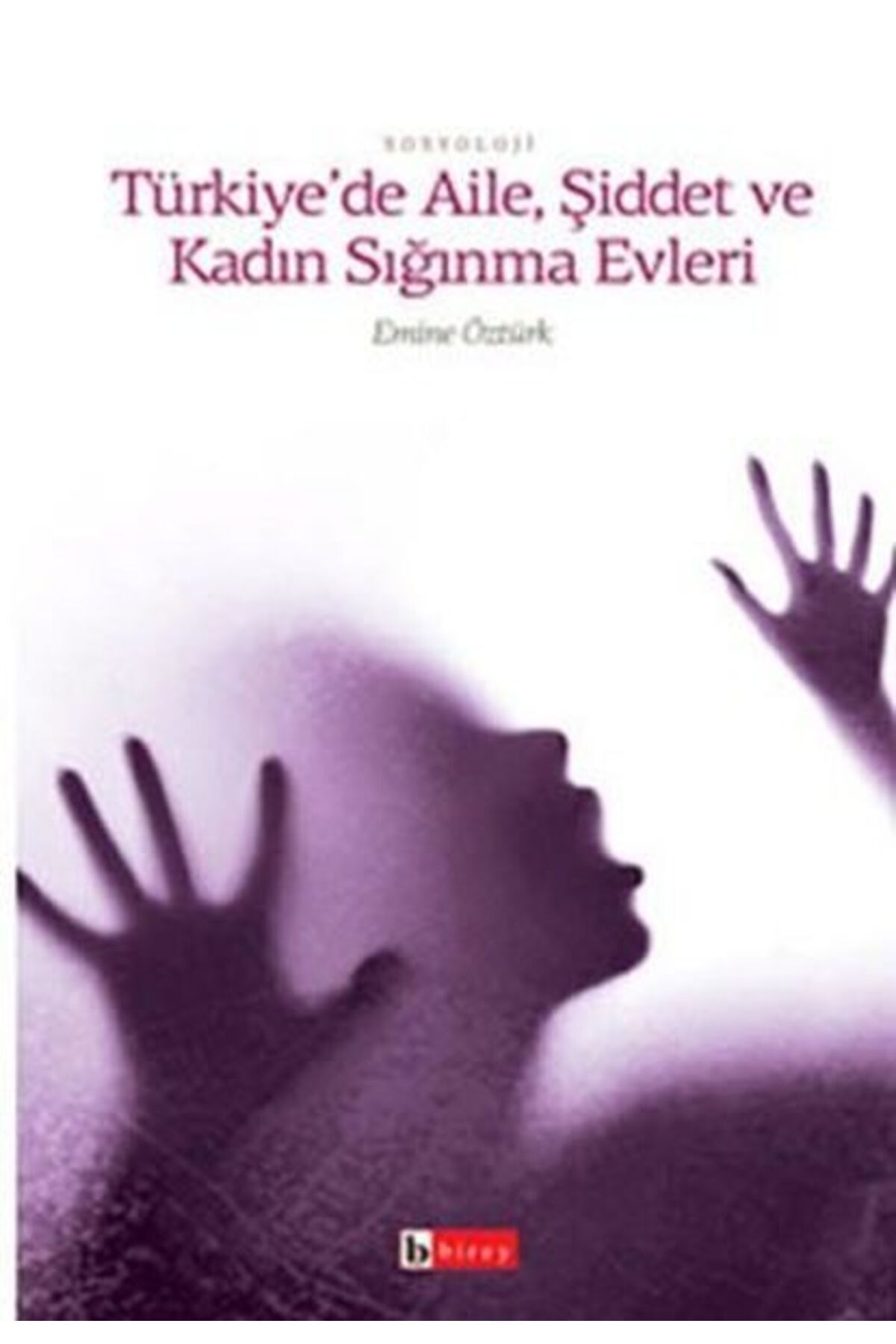 Destek Yayınları Türkiye’de Aile, Şiddet ve Kadın Sığınma Evleri