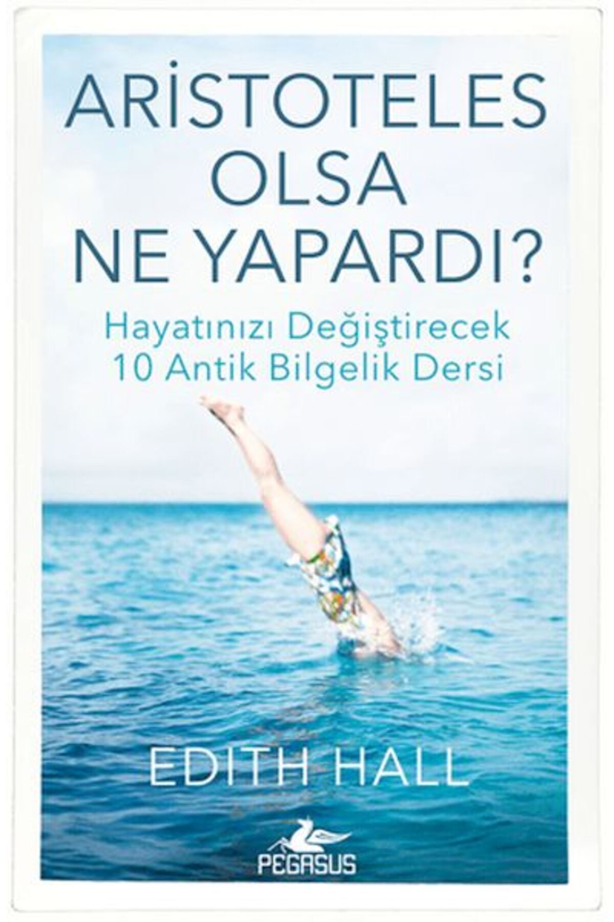 Destek Yayınları Aristoteles Olsa Ne Yapardı?