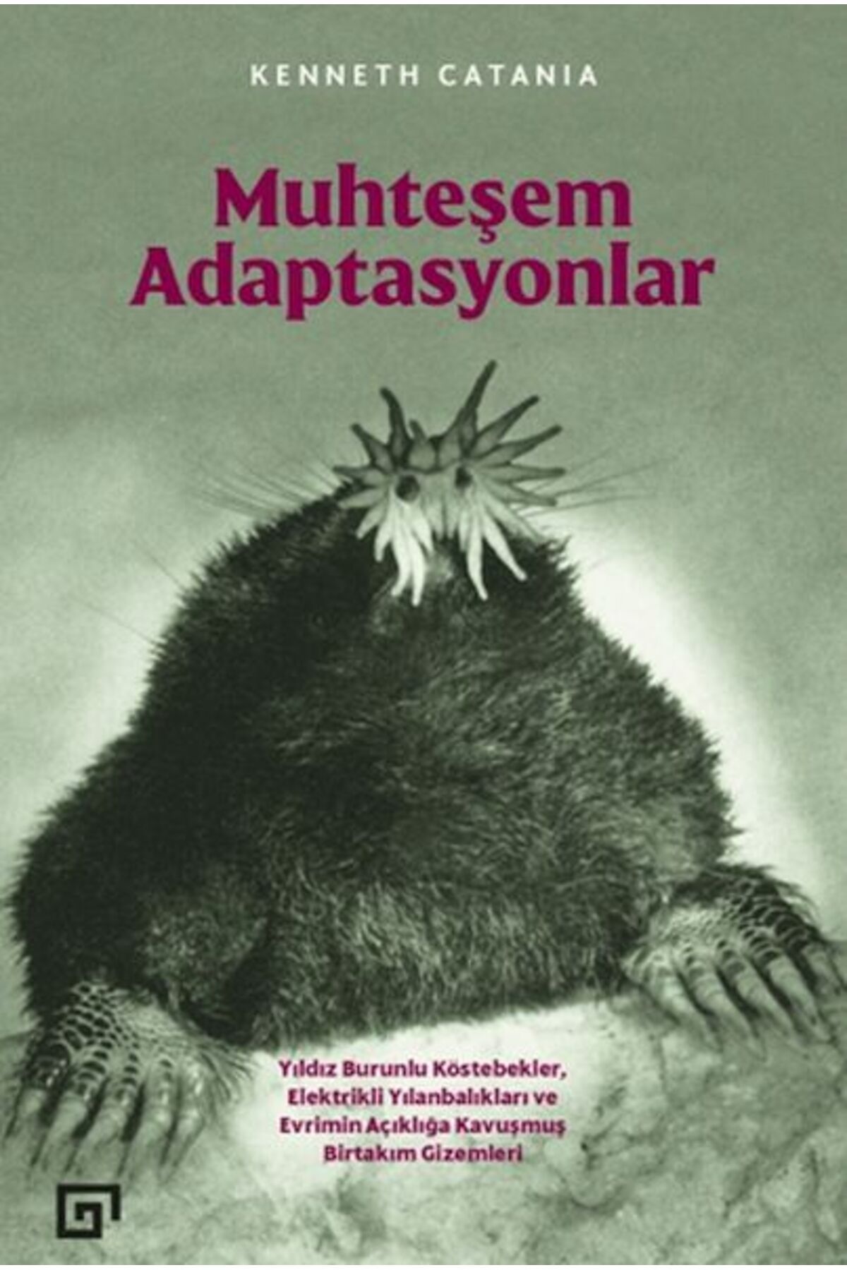 Koç Üniversitesi Yayınları Muhteşem Adaptasyonlar