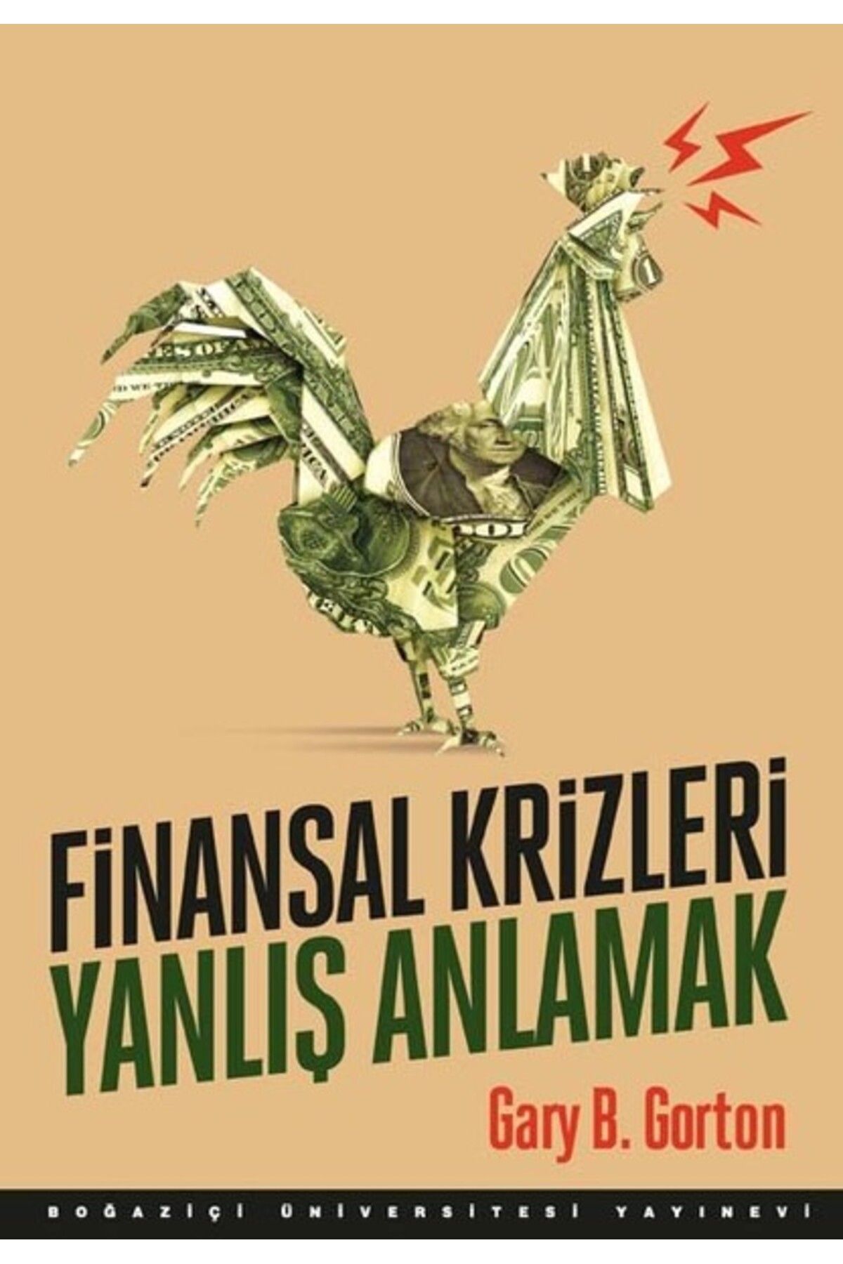 Boğaziçi Üniversitesi Yayınevi Finansal Krizleri Yanlış Anlamak