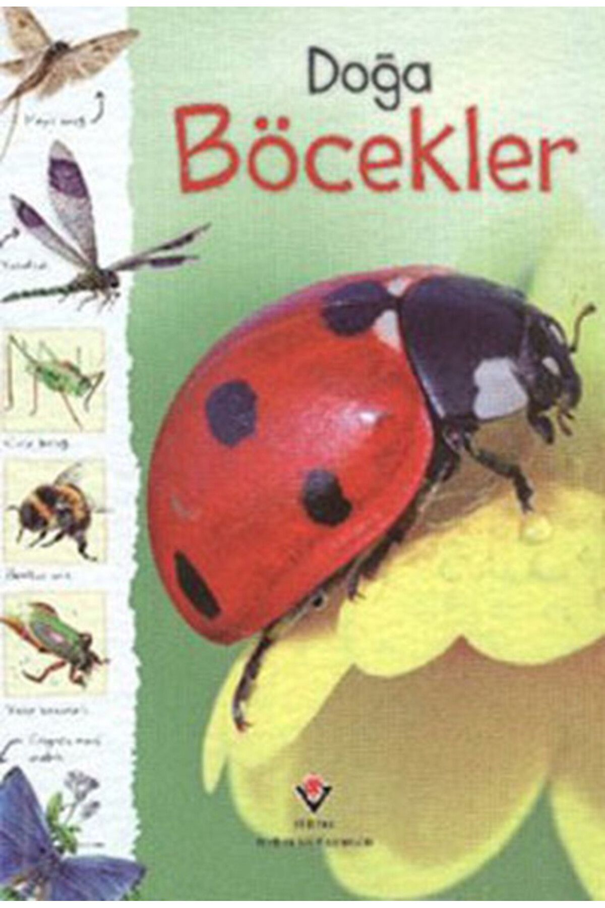Destek Yayınları Doğa - Böcekler