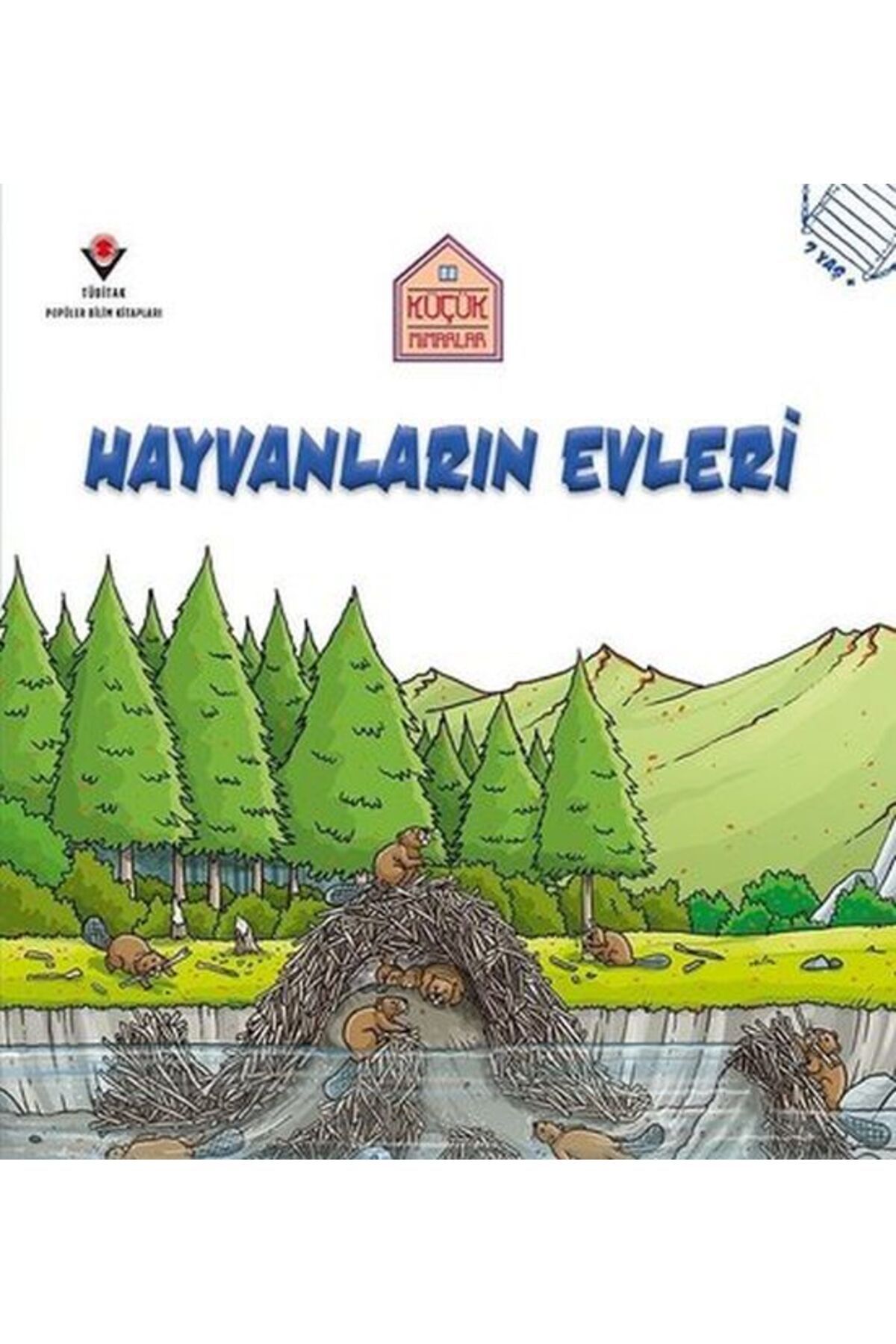 Destek Yayınları Hayvanların Evleri - Küçük Mimarlar