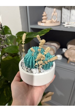DİA HANDMADECOR KAKTÜS TASARIM MUM