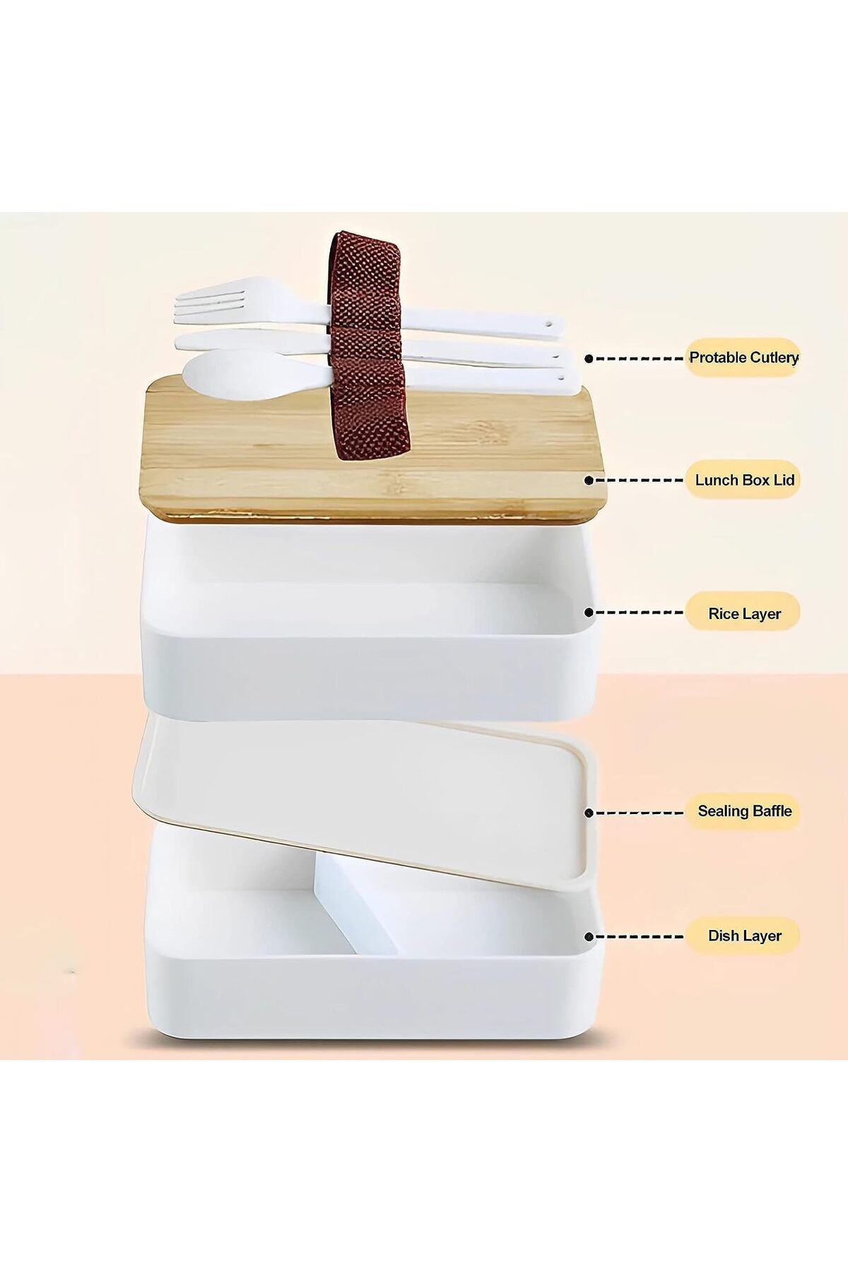 COOYA-Lunch Box,2 Layer Food Containers,Divider Salad Box,Lunch Box with Utensils Spoon and Fork Bundle 5