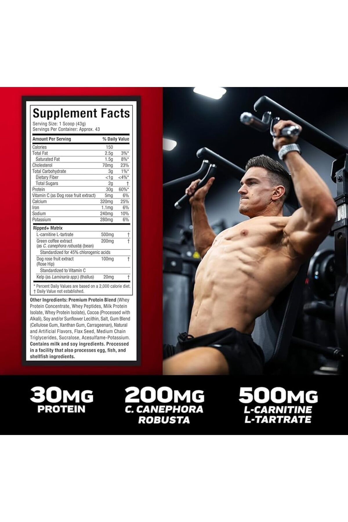 MUSCLETECH-Nitro Tech Ripped Chocolate Fudge Brownie 2lbs (907 g) US (RB) 3