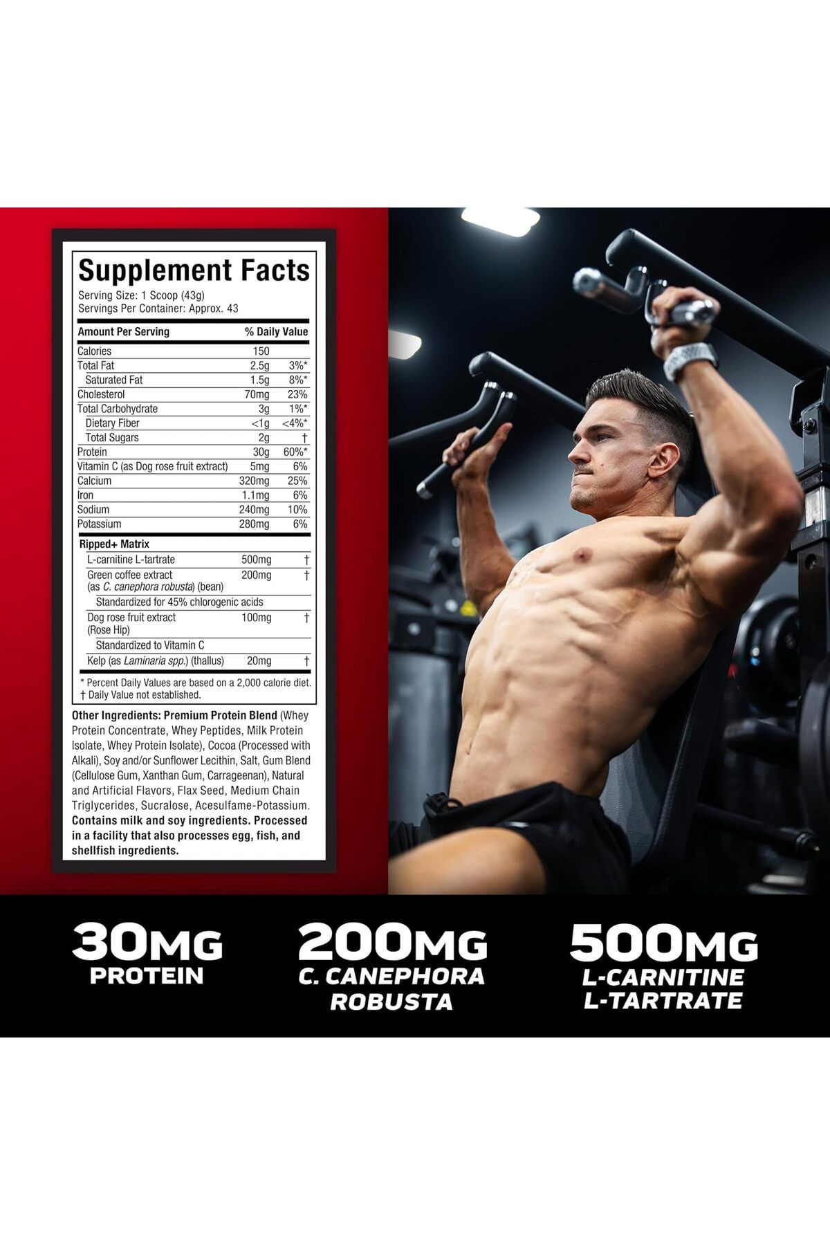 MUSCLETECH-Nitro Tech Ripped Chocolate Fudge Brownie 2lbs (907 g) US (RB) 5