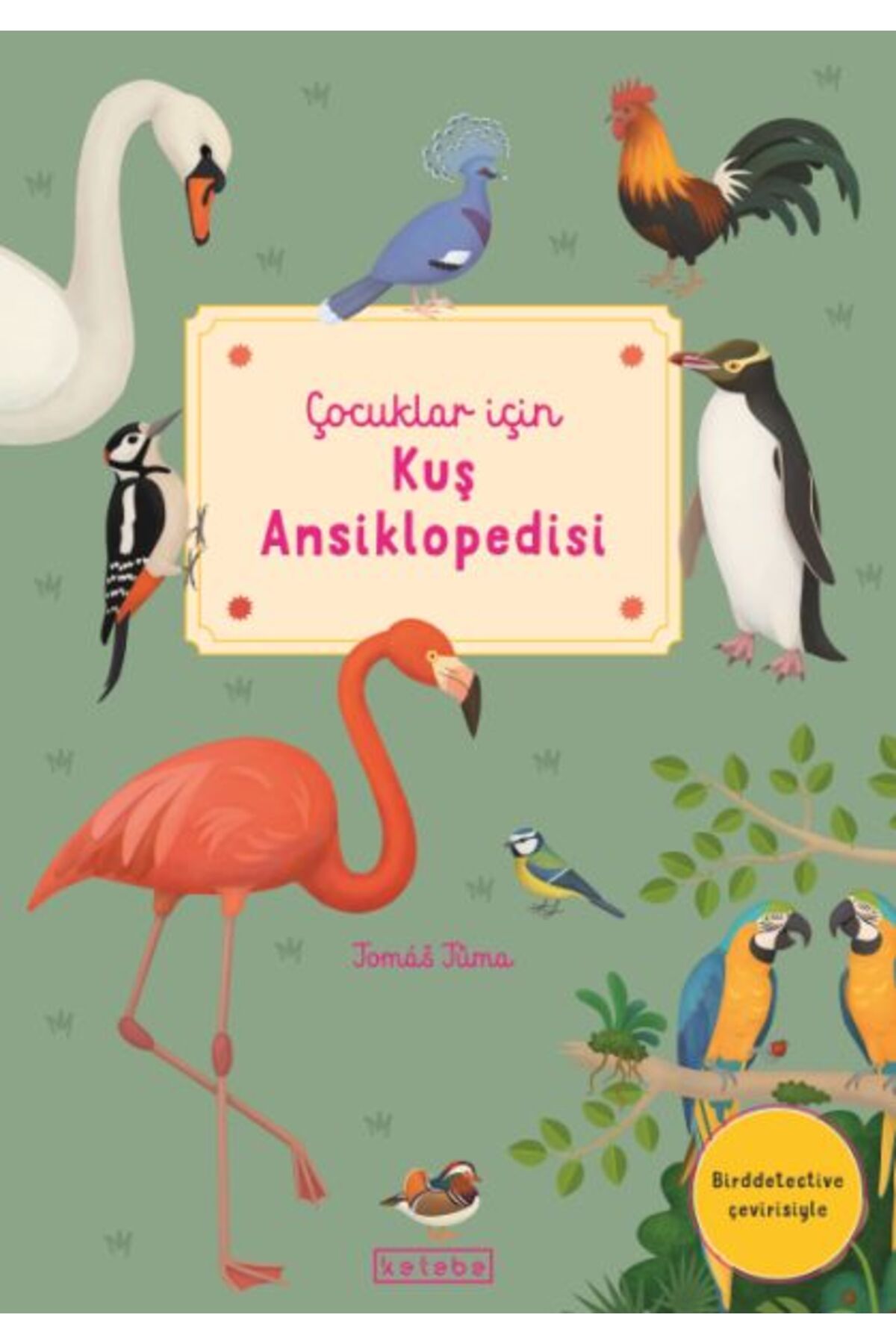 Ketebe Yayınları Çocuklar İçin Kuş Ansiklopedisi