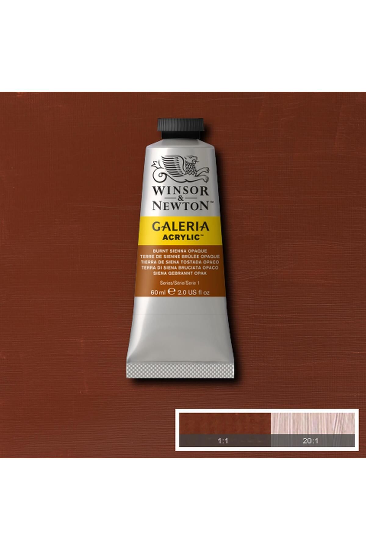 Winsor Newton Winsor & Newton Galeria Akrilik Boya 60ml Burnt Sienna Opaque 077