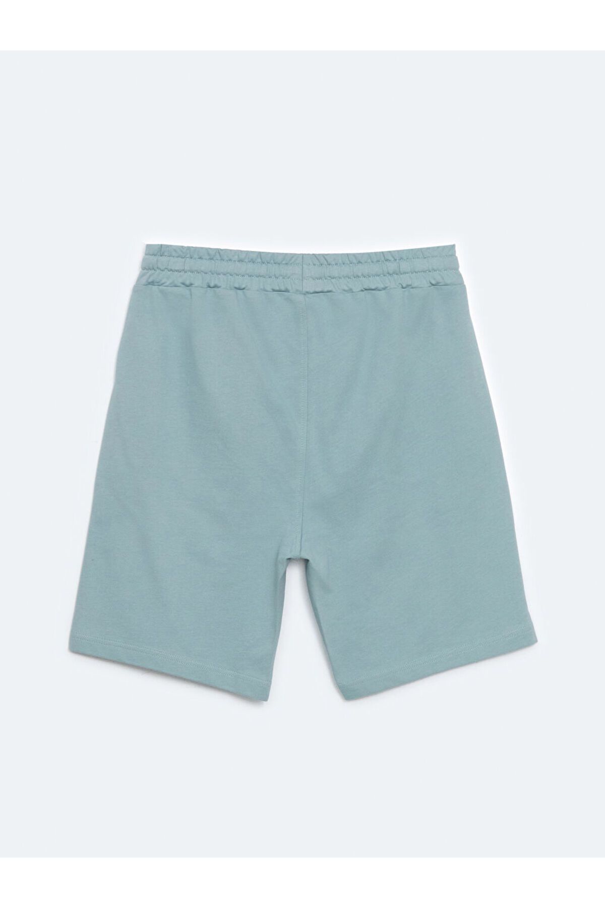LC Waikiki-LCW Standard Fit Men's Shorts 2