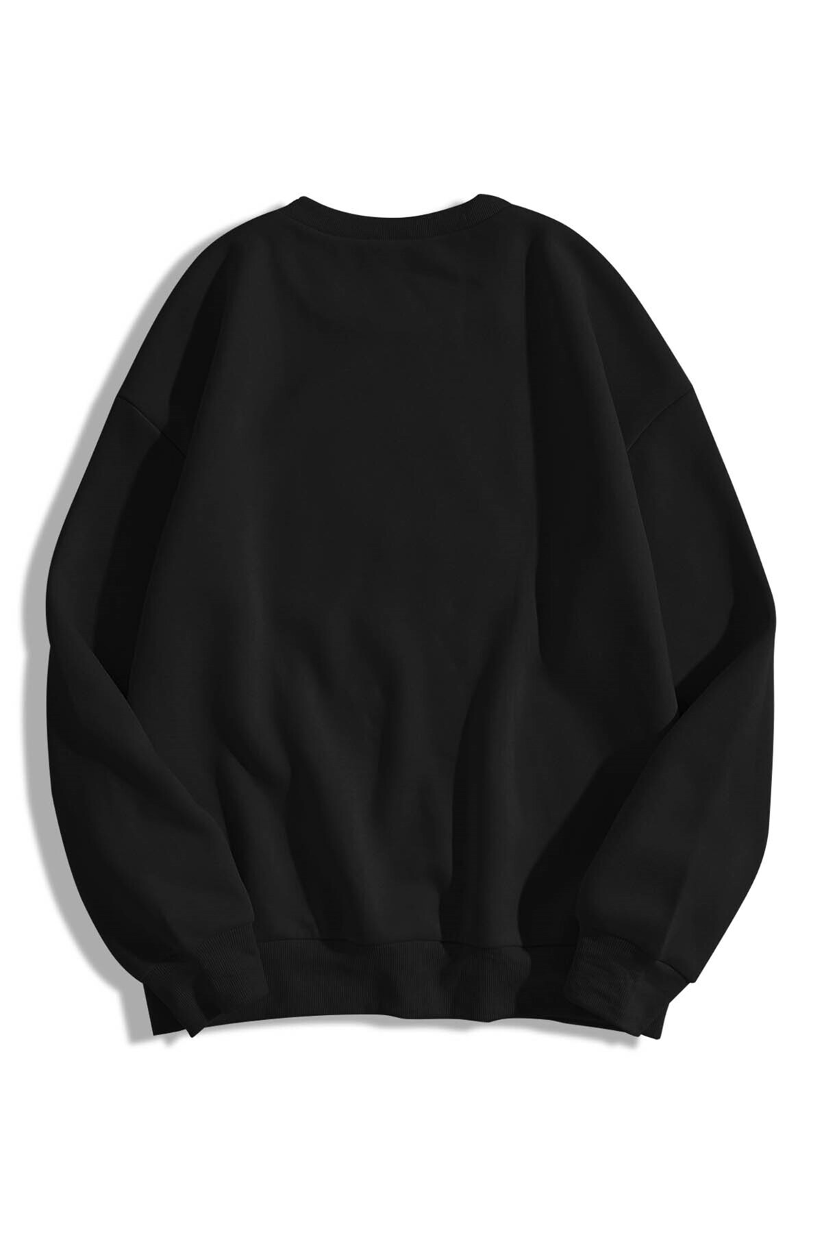 Co Trendiz Unisex Destiny Bisiklet Yaka Sweatshirt Hoodie görsel 2