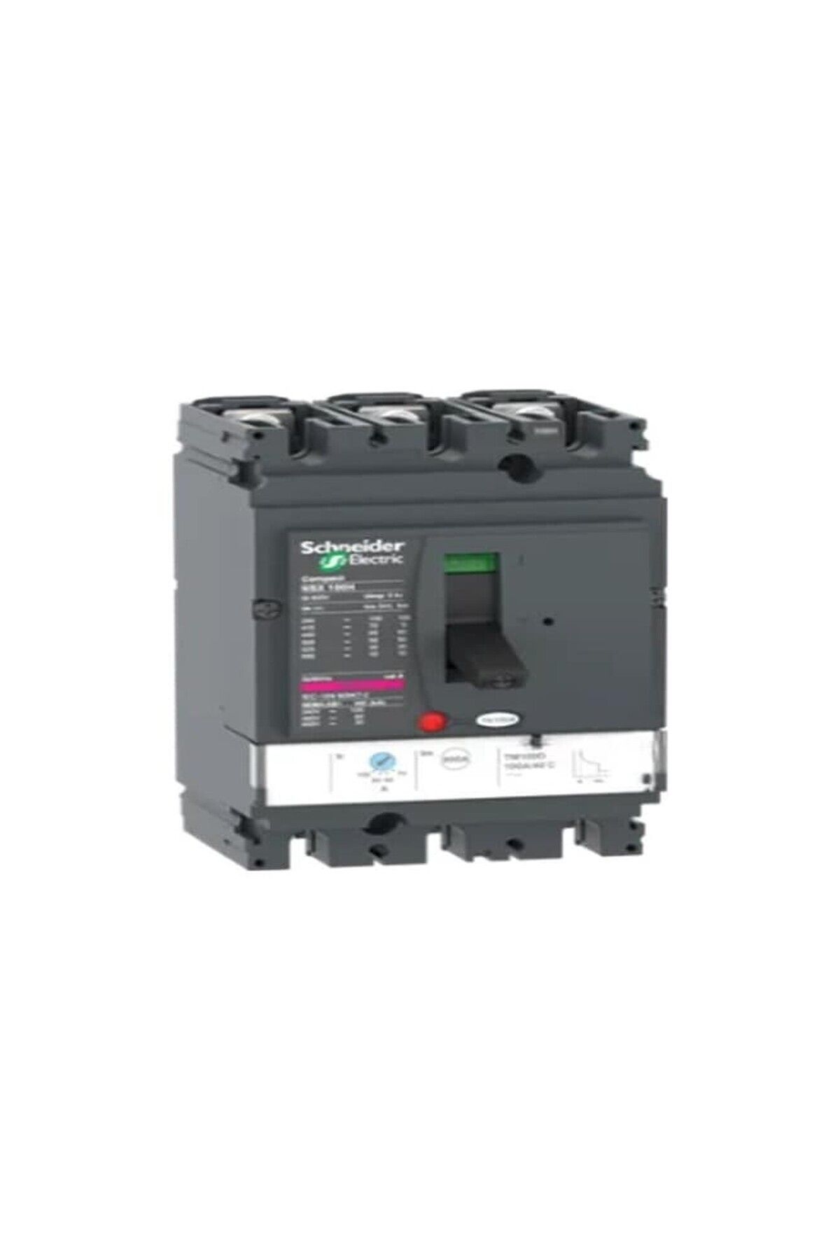 Schneider Electric Schneider 100 Amper Ayar Sahalı Kompakt Şalter Lv429670