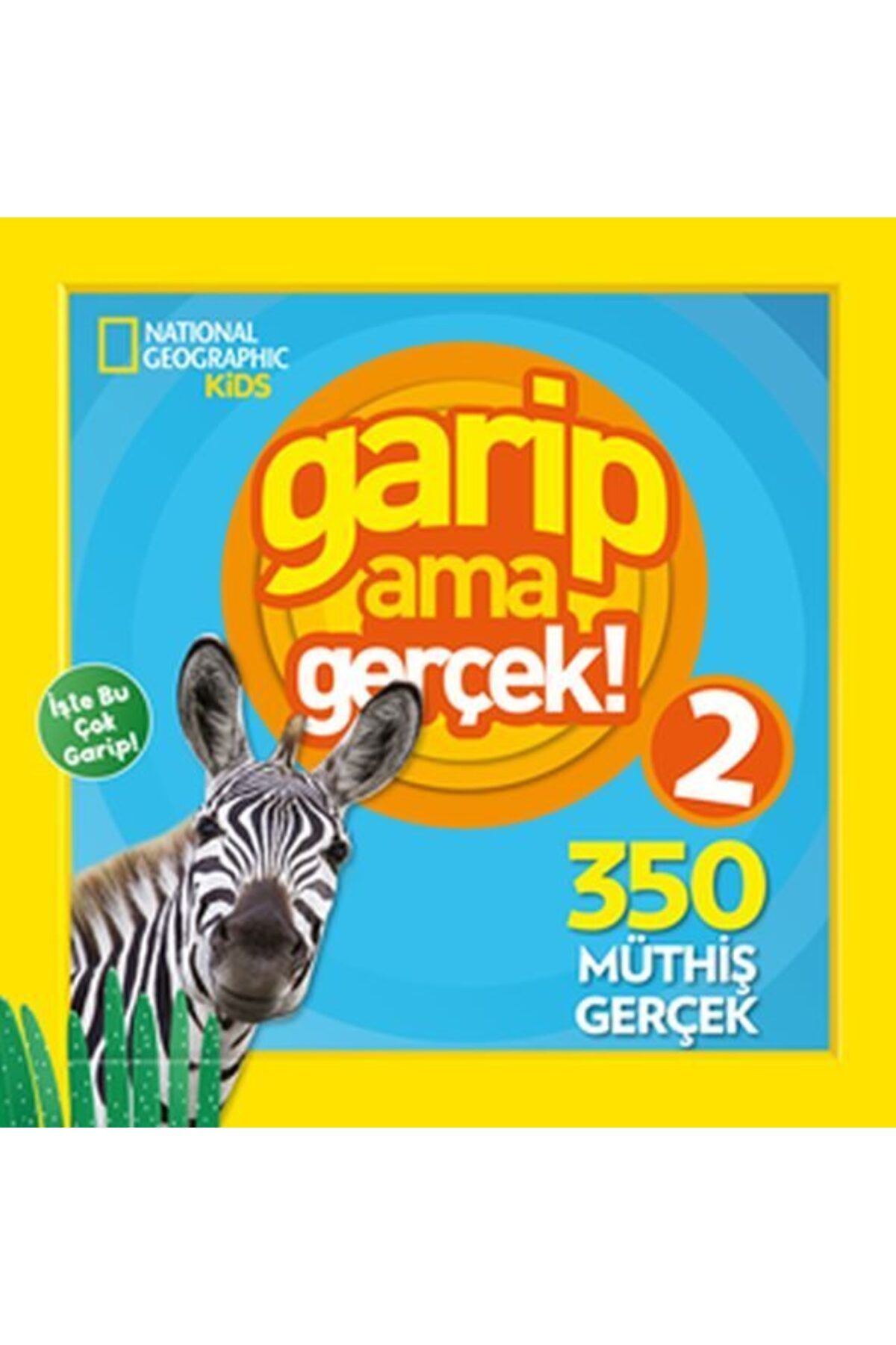 Destek Yayınları Kids Garip Ama Gerçek 2