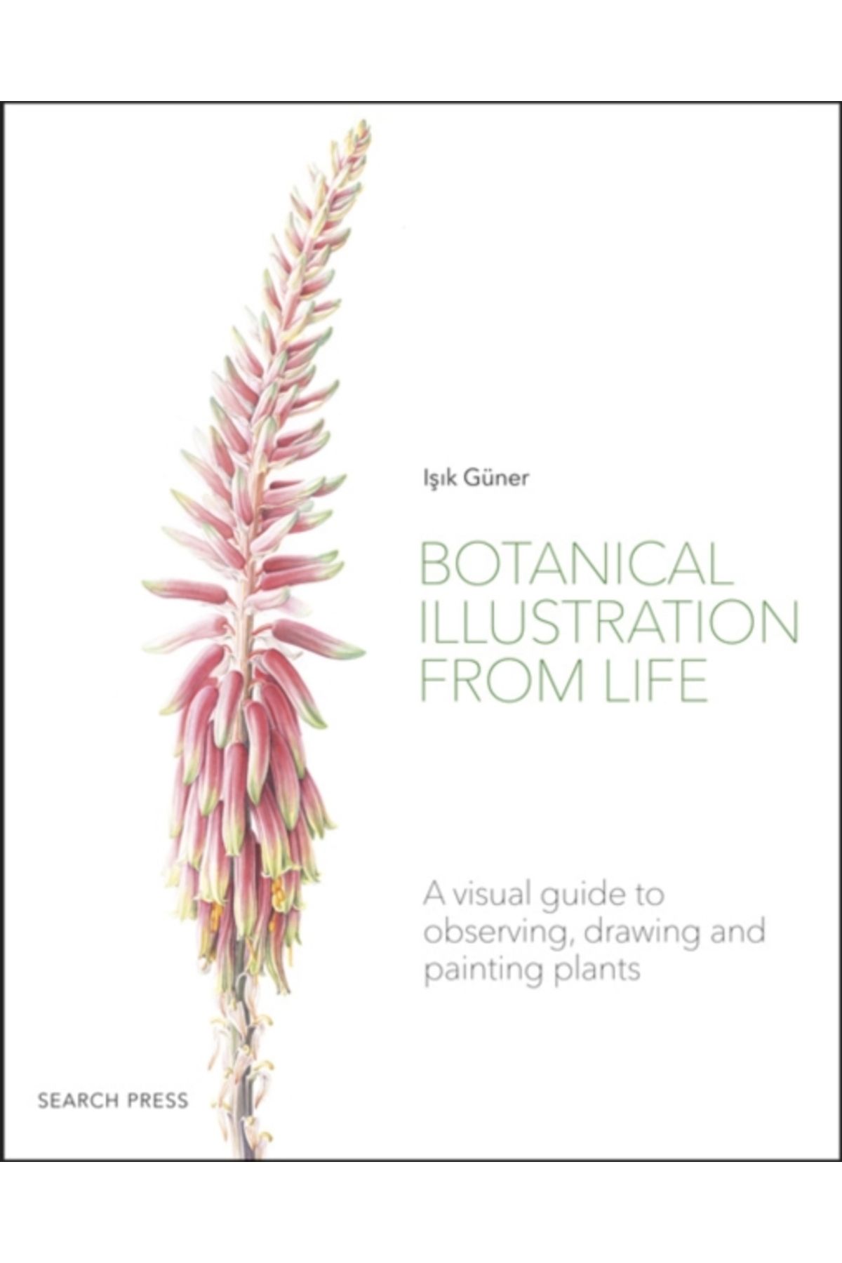 Pandora Kitabevi Botanical Illustration From Life : A Visual Guide To Observing, Drawing And Painting Plants