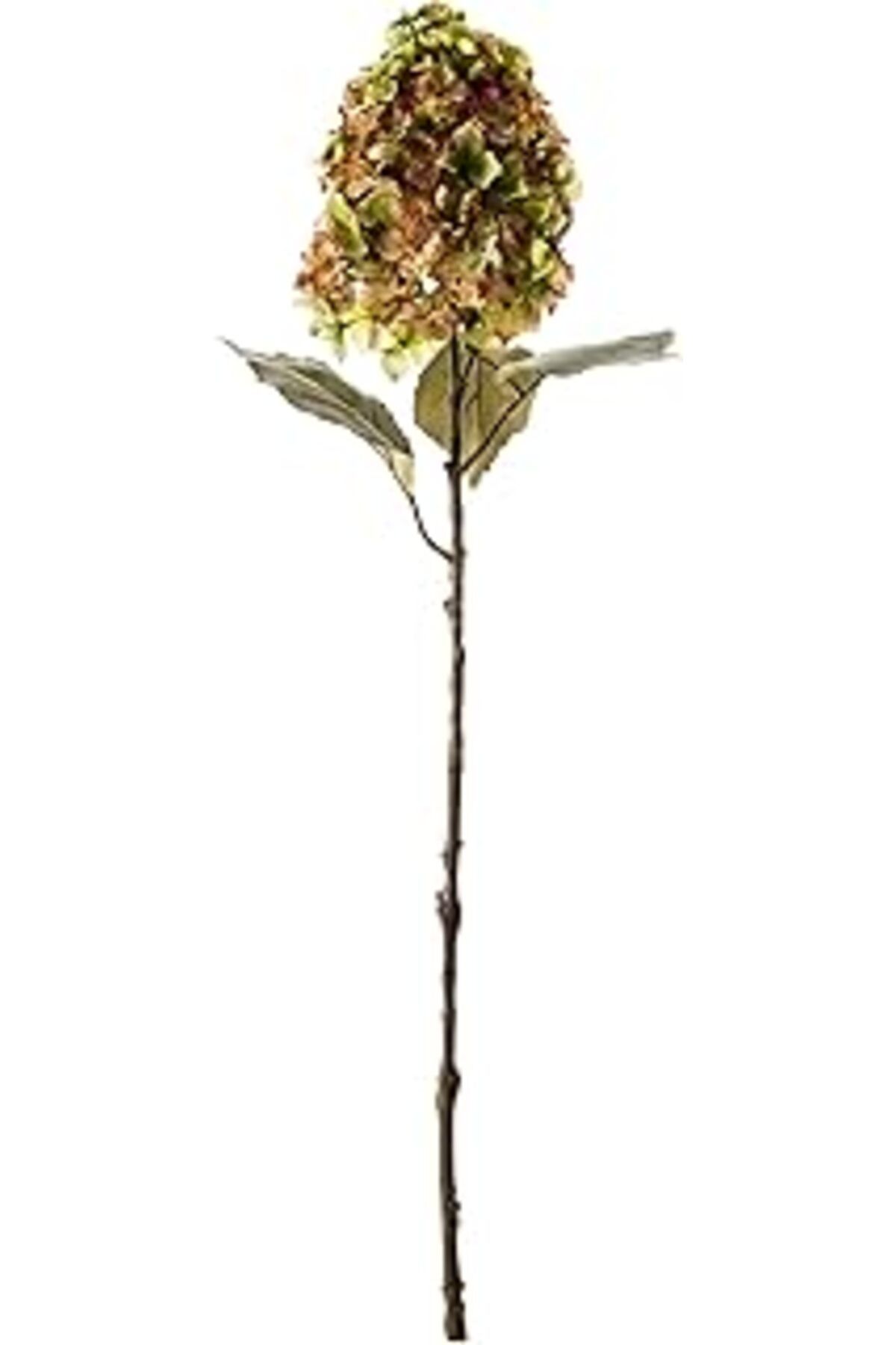 Hepta Collection Concept Ortanca Kurutulmuş Çiçek 84 Cm