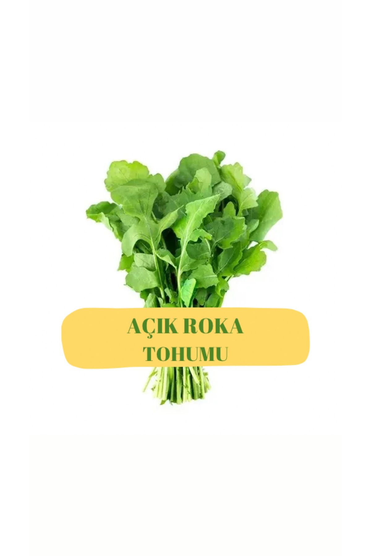 Arzuman Tohumculuk ROKA TOHUMU (AÇIK) 50g