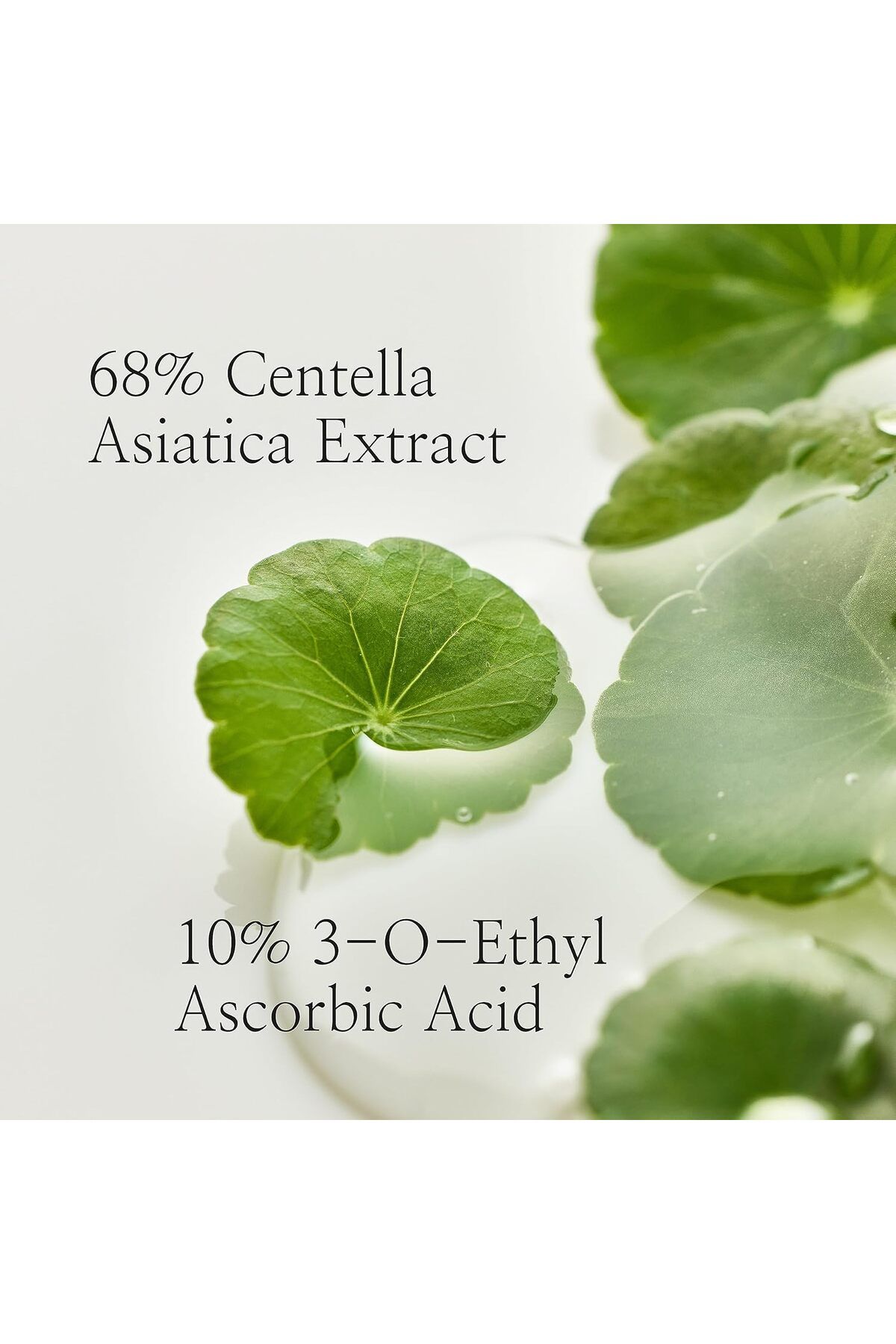 Beauty of Joseon-Beauty of Joseon Light on Serum: Centella Vita C (Vitamin C Serum) 30ml 13