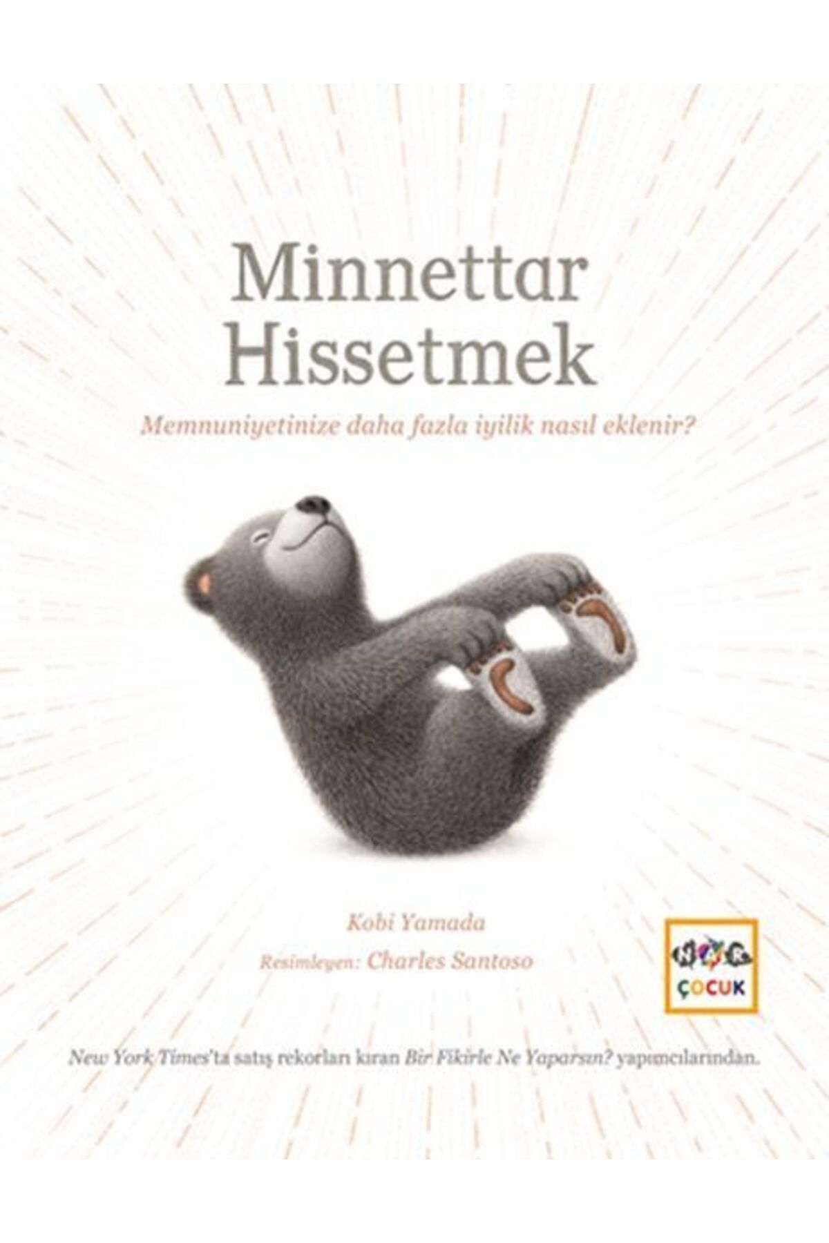 Nar Yayınları Minnettar Hissetmek