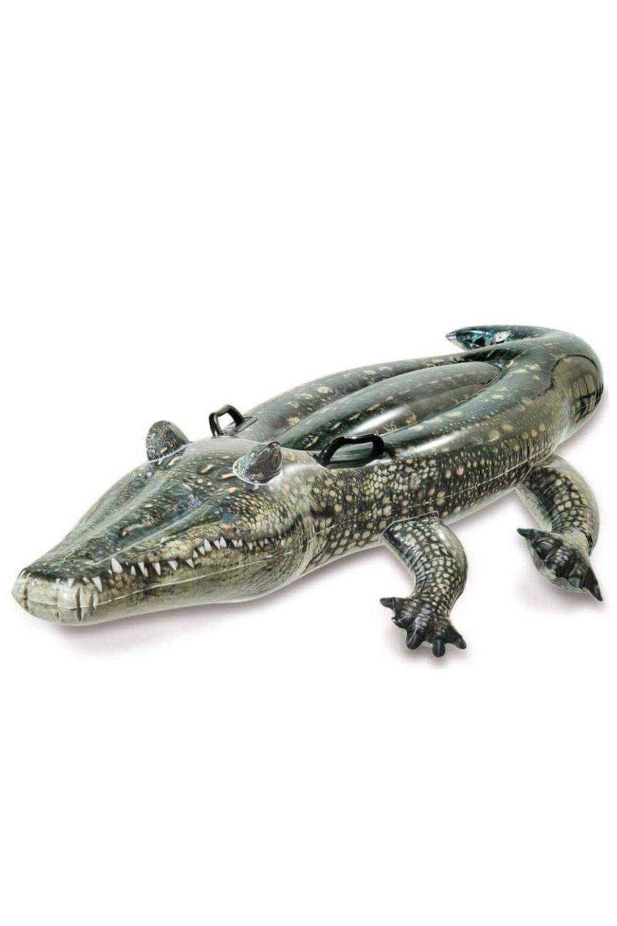 Avantaj Kapıda Gerçekçi Timsah Binici 170x86 Cm İntex - 57551 (Lisinya)