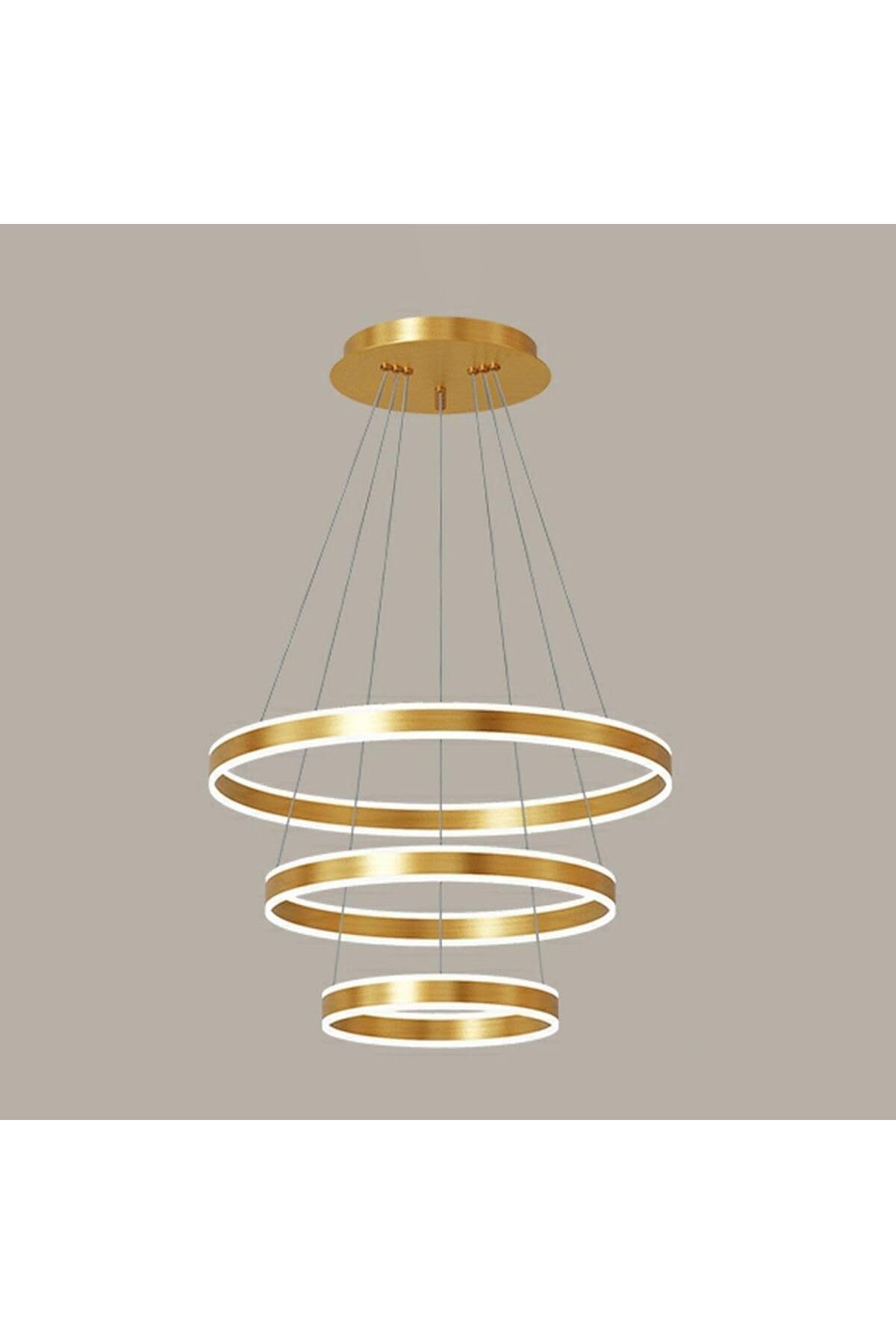 A F N LIGHTING-A F N LIGHTINGS AFN مصباح LED دائري متعدد الطبقات باللون الذهبي المعدني الحديث 1