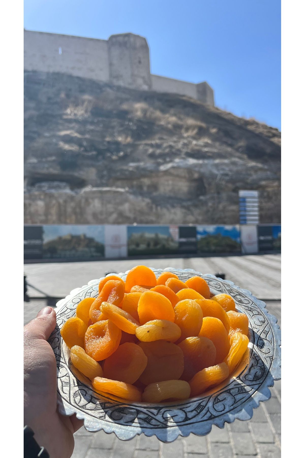 yöresel Malatya Kuru Kayısı (1KG)