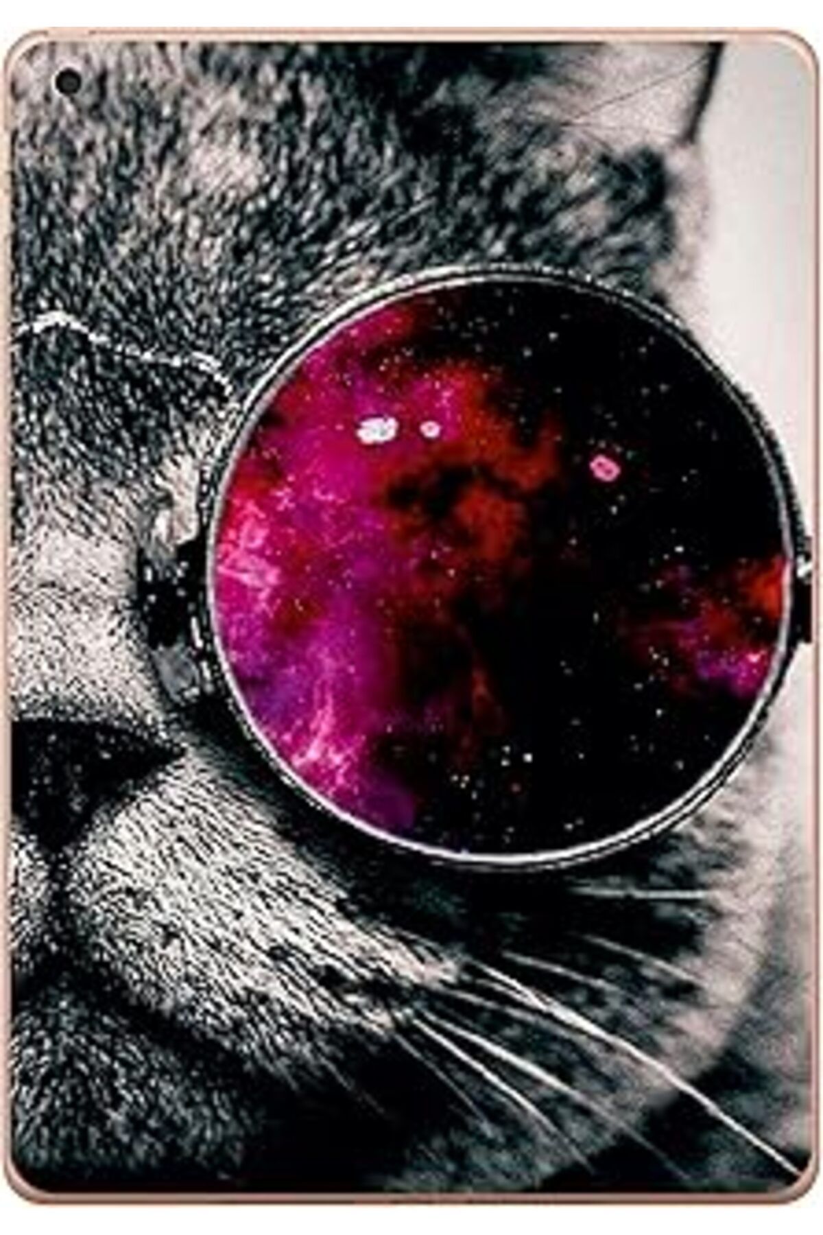 Mu Art Gogo Accessories Apple Ipad 5. Nesil 2018 A1893 A1954 T015 Kedi Baskılı Silikon Kılıf