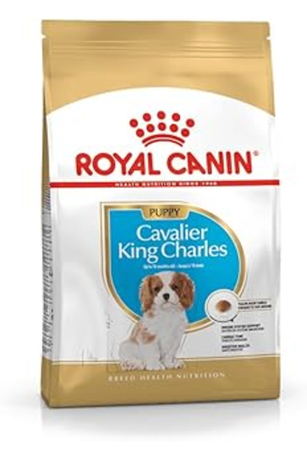 shop Cavalier King Charles Kuru Köpek Sı, Yavru Köpek, 1.5 Kg