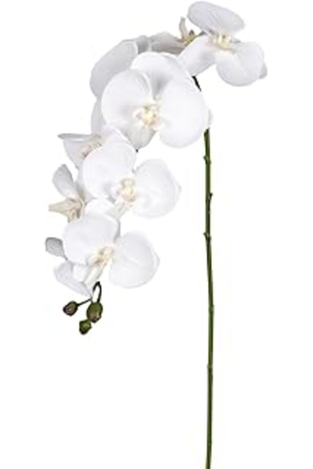 Pazarcan Yapay Orkide Beyaz 95 Cm.