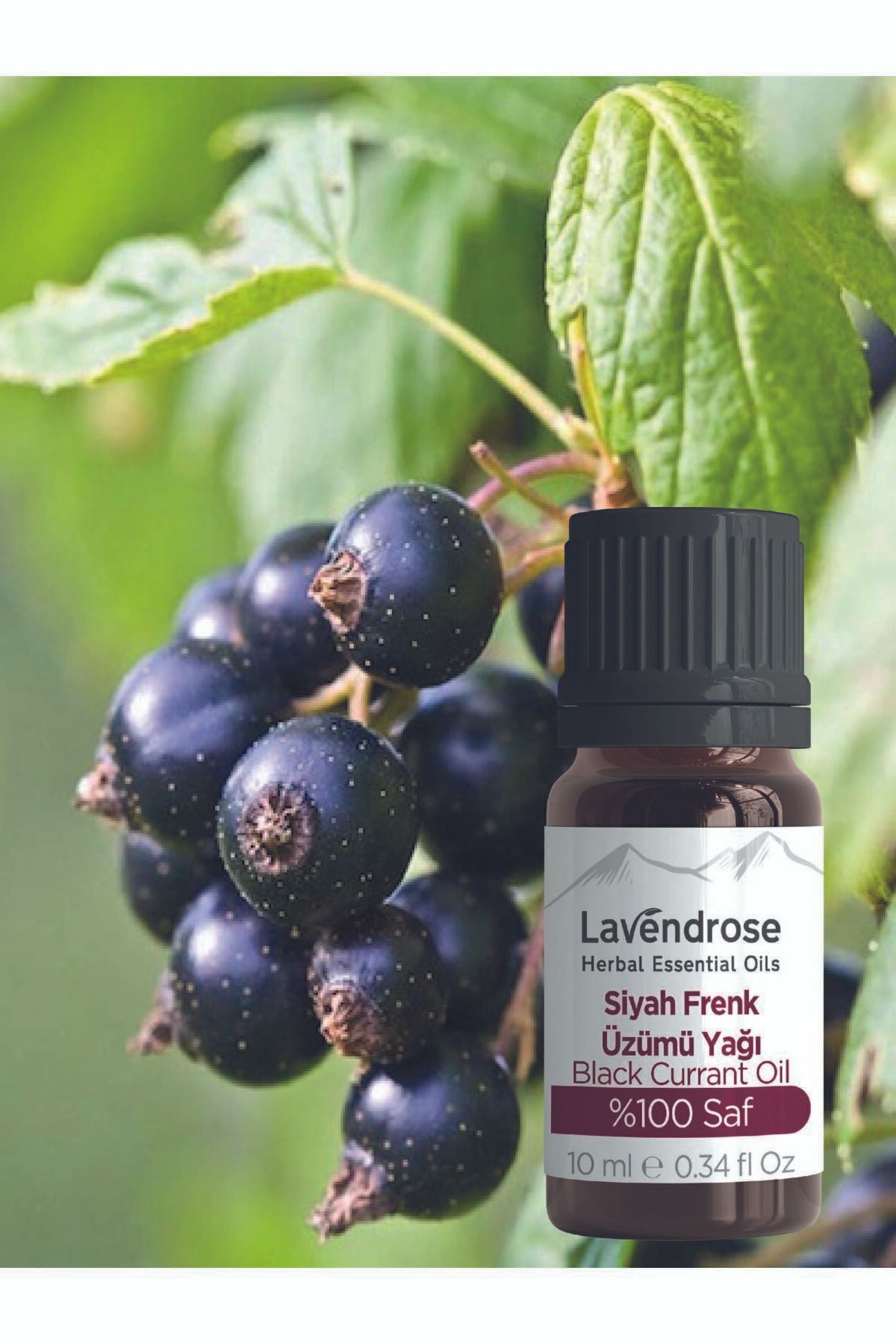 Lavendrose-زيت بذور الكشمش الأسود 10 مل زيت أوميجا 6 طبيعي 100% 5