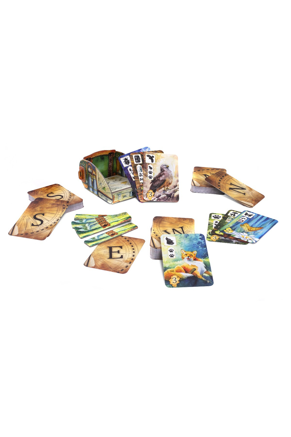 Meadow-Board Game , Romanian Language 5