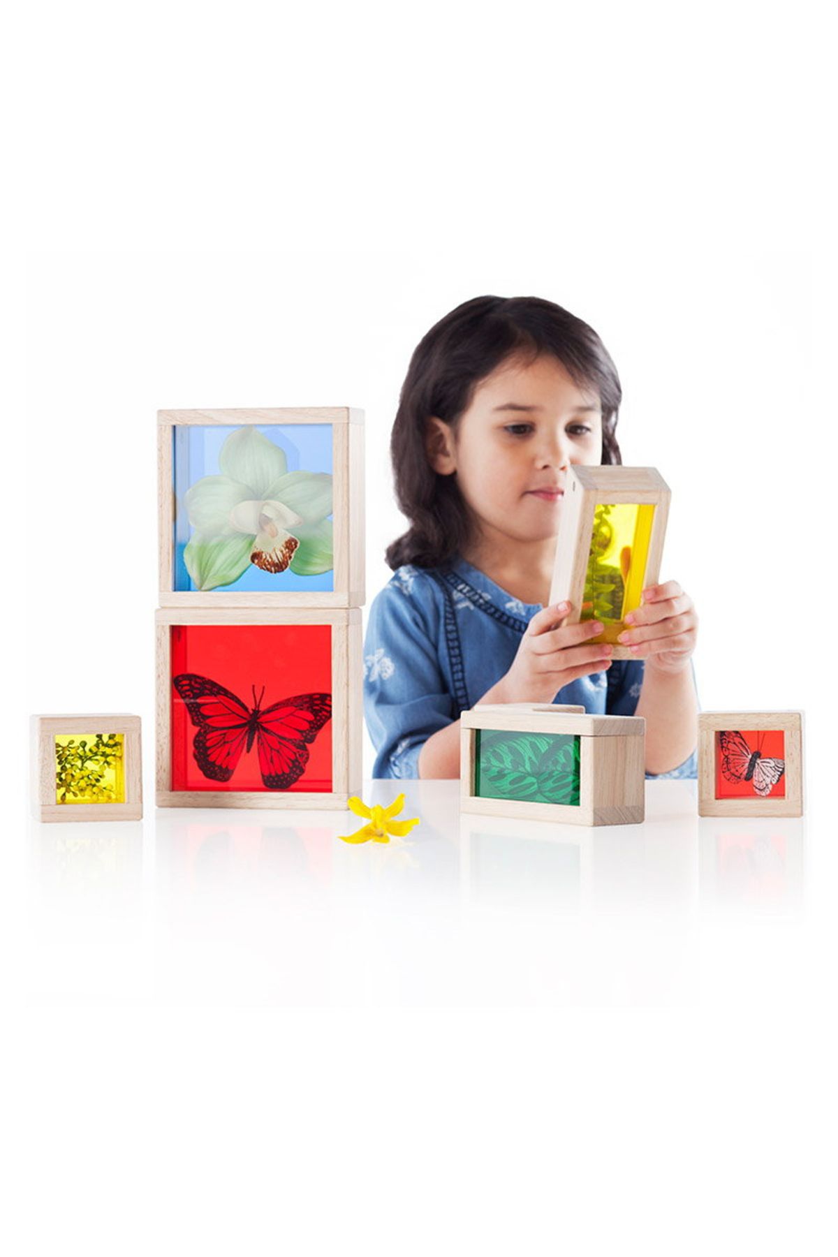 Guidecraft-Treasure Blocks Colors, 2