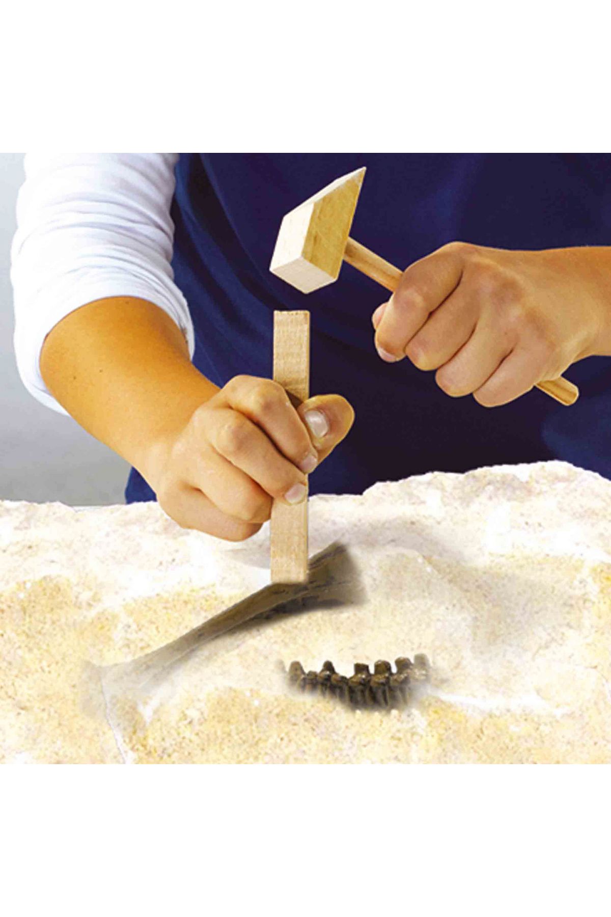 SES Creative-Creative Dino And Skeleton Excavation Set 2 In 1 - T-rex 3