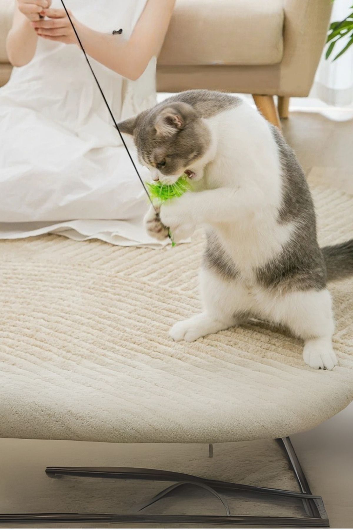 FORSEİ LUCA-Feather Cat Playstick with Suction Cup, Rattle Cat Toy, Cat Exercise Apparatus 2