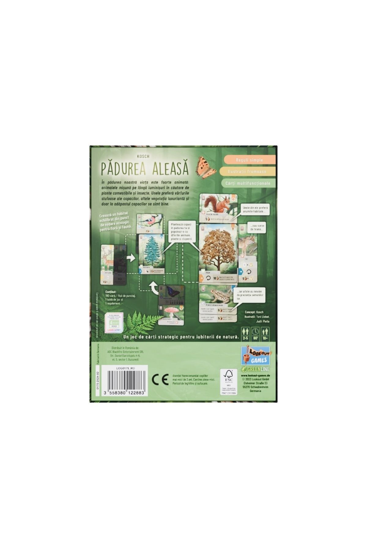 Asmodee-Board game The Chosen Forest, Romanian language 3