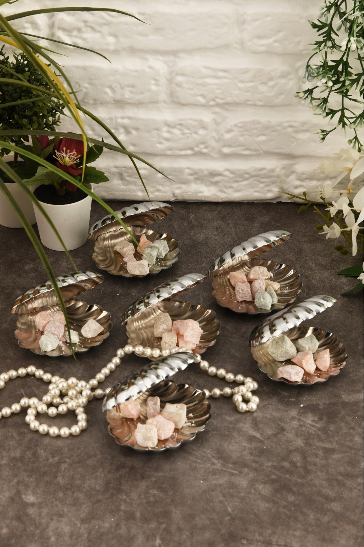 AKSESUAR EVRENİ Brano 6 Lı Kahve Yanı Istiridye Lokumluk