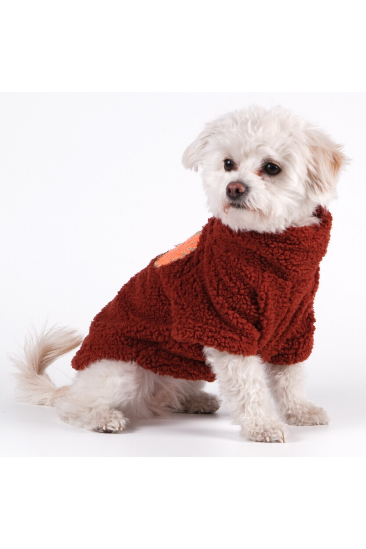 Peti Tailor-Wellsoft Cinnamon - Large Arc Dog Sweat 4