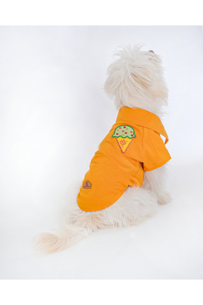 Peti Tailor Küçük ve Orta Irk Hardal LACOSTE