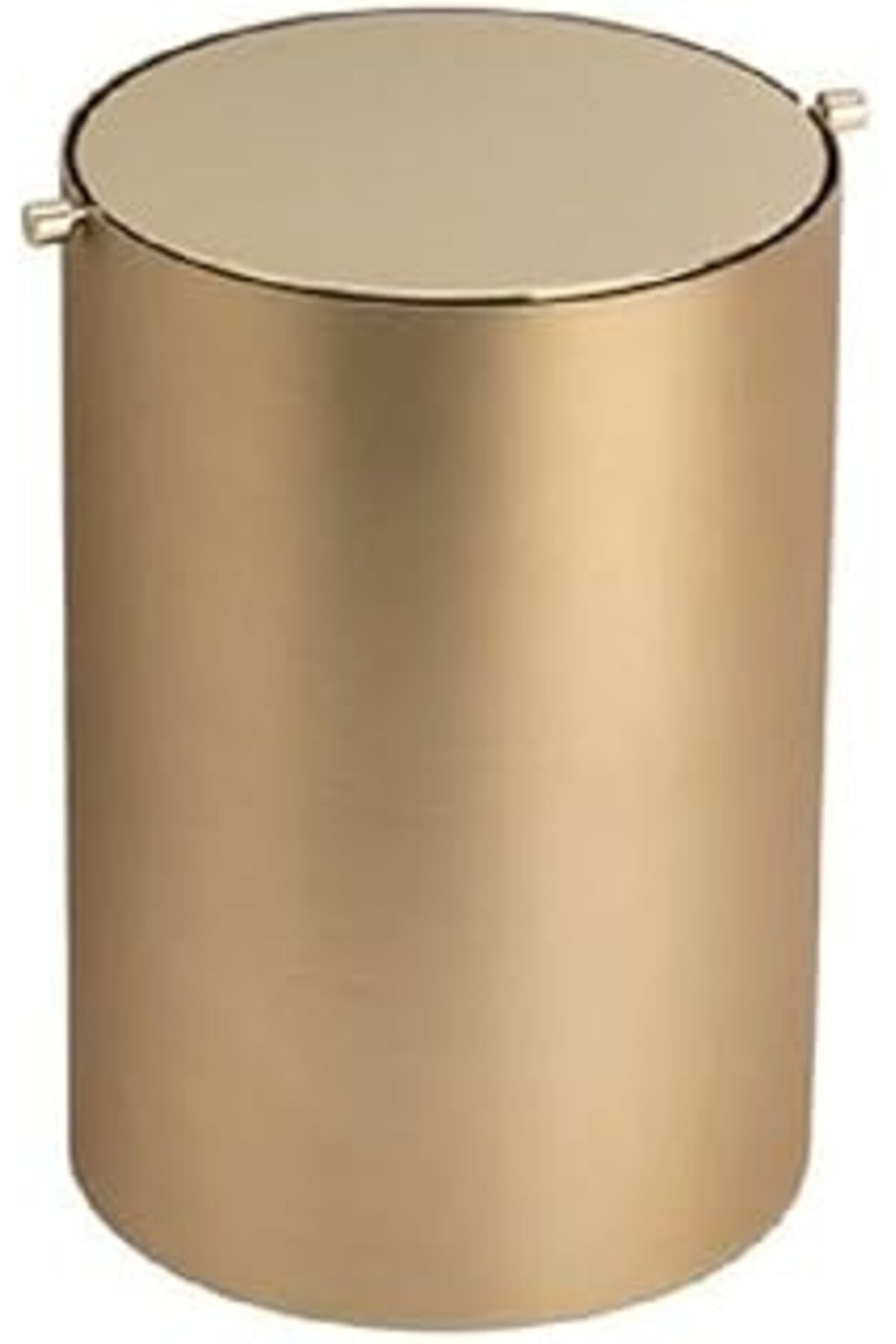 robotrend Banyo Çöp Kovası 3 Lt Gold Branch/Gold 253X175X175 Mm