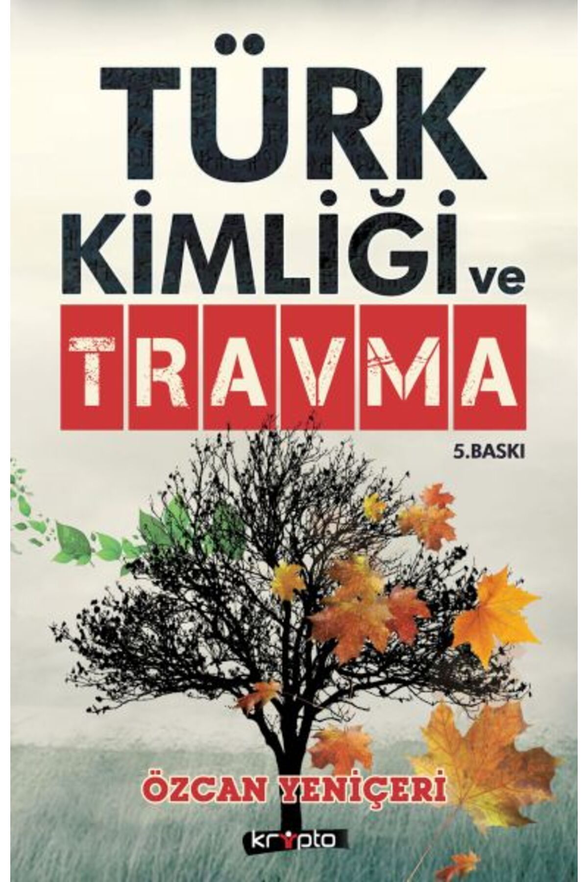 Kripto Basım Yayın Türk Kimliği ve Travma Türklerin 3 Büyük Suçu, 3 Büyük Bozgun