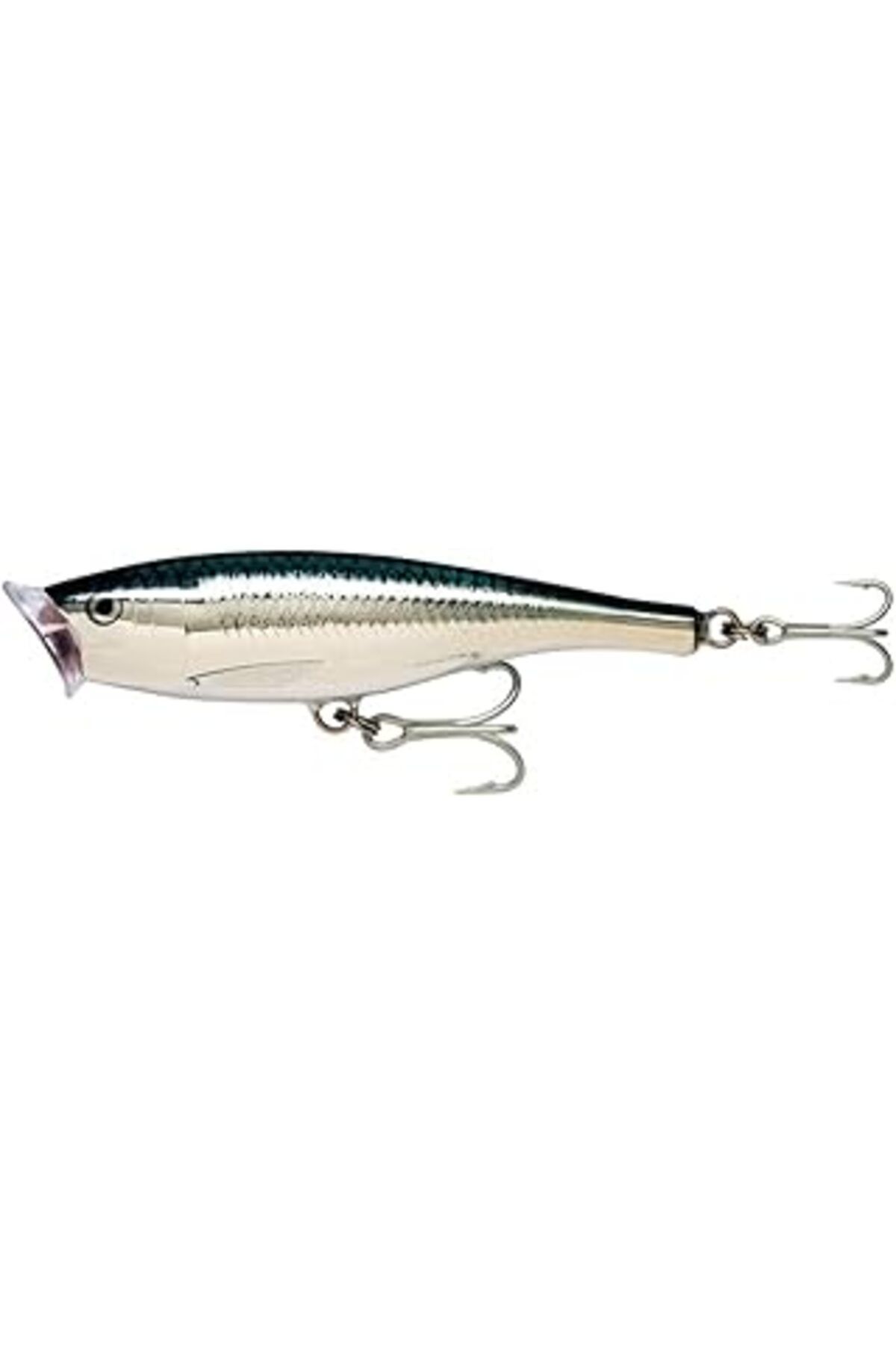 NZM TİCARET Rapala Skitter Pop Saltwater Balığı