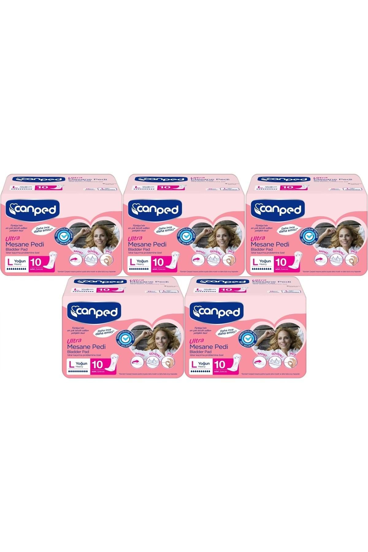 Canped Mesane Pedi Ultra L - Large - Büyük - Yoğun 50 Adet (5PK*10)