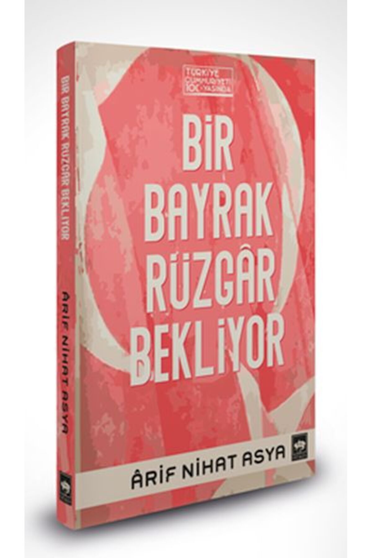 Destek Yayınları Bir Bayrak Rüzgar Bekliyor (Ciltli)